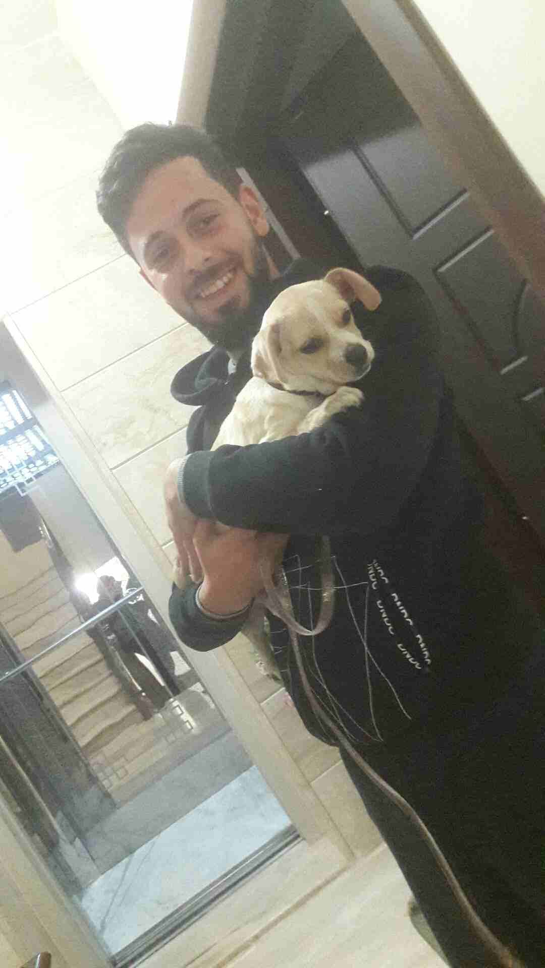 كلب شيواوا لبيع عمر 3 اشهر
لا تنسَ أنك شاهدت هذا الإعلان في عنكبوت
عمر 3 اشهر الكلب ماخد كل المط...