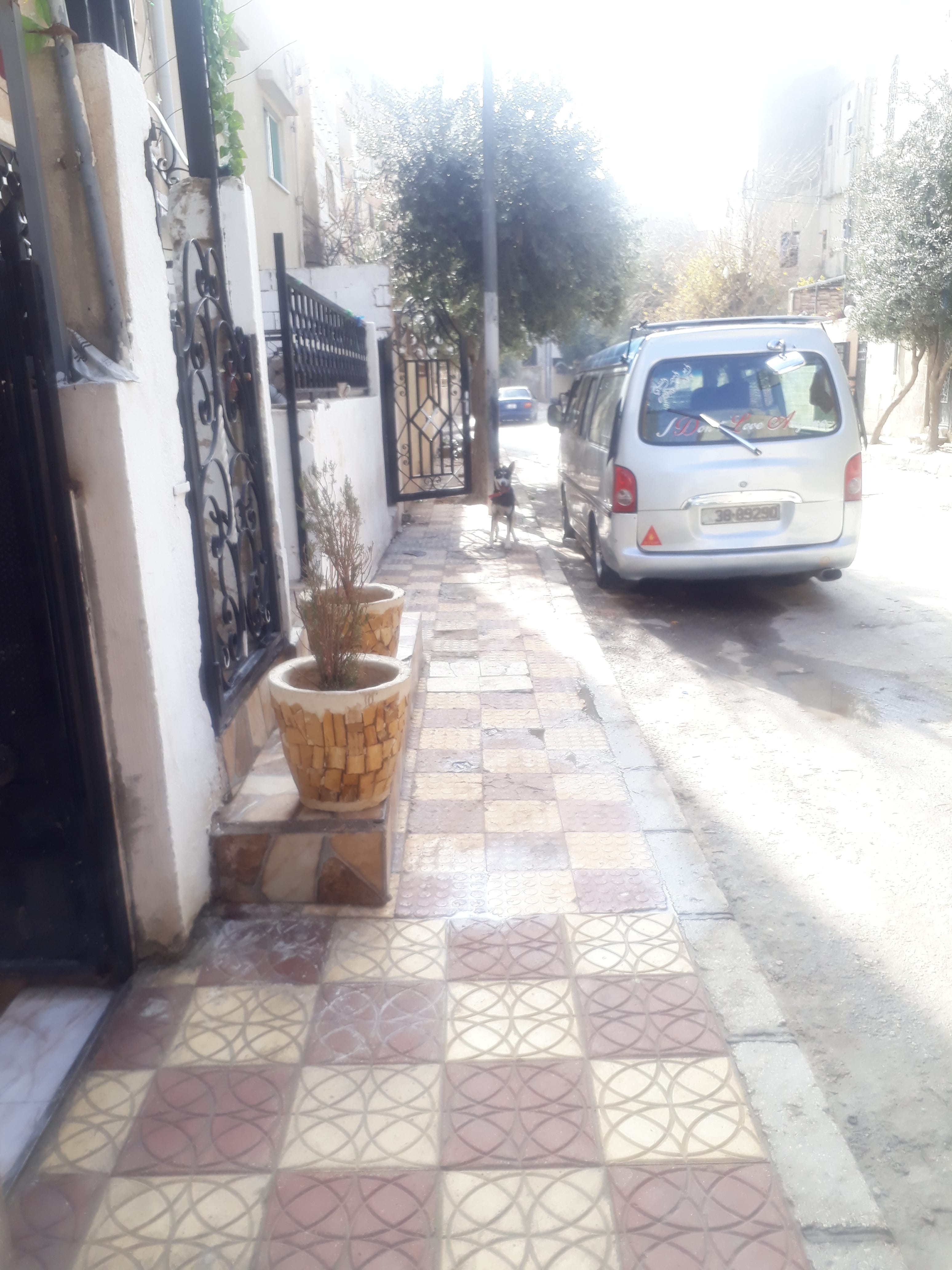 عمان ام نواره شارع الدفاع
لا تنسَ أنك شاهدت هذا الإعلان في عنكبوت
كلب هاسكي كل عين لون عمرو...