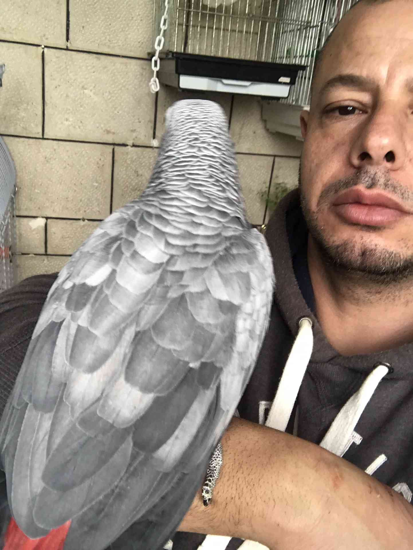 كاسكو لون صدفي اليف متكلم للبيع
لا تنسَ أنك شاهدت هذا الإعلان في عنكبوت
كاسكو عمرو سنه ونص ال...