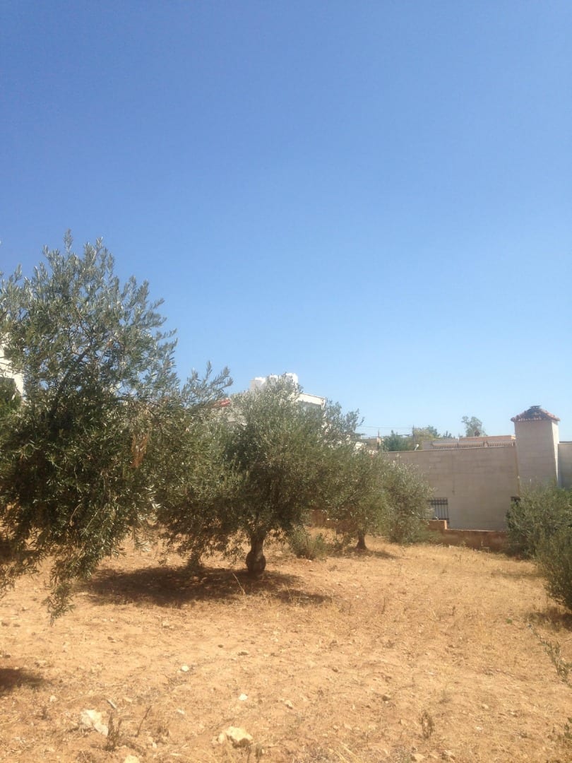 850 متر ابو نصير حوض ام بطمه موقع مميز من المالك
لا تنسَ أنك شاهدت هذا الإعلان في عنكبوت
ارض...