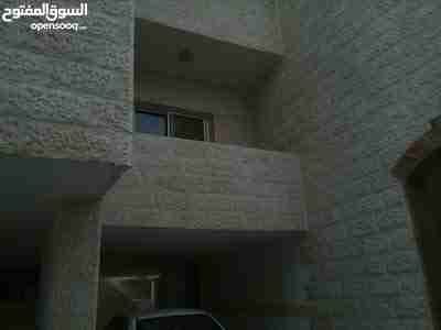 شقة مفروشة..شارع الجامعة للايجار
لا تنسَ أنك شاهدت هذا الإعلان في عنكبوت
2نوم . صالة. سفرة. م...