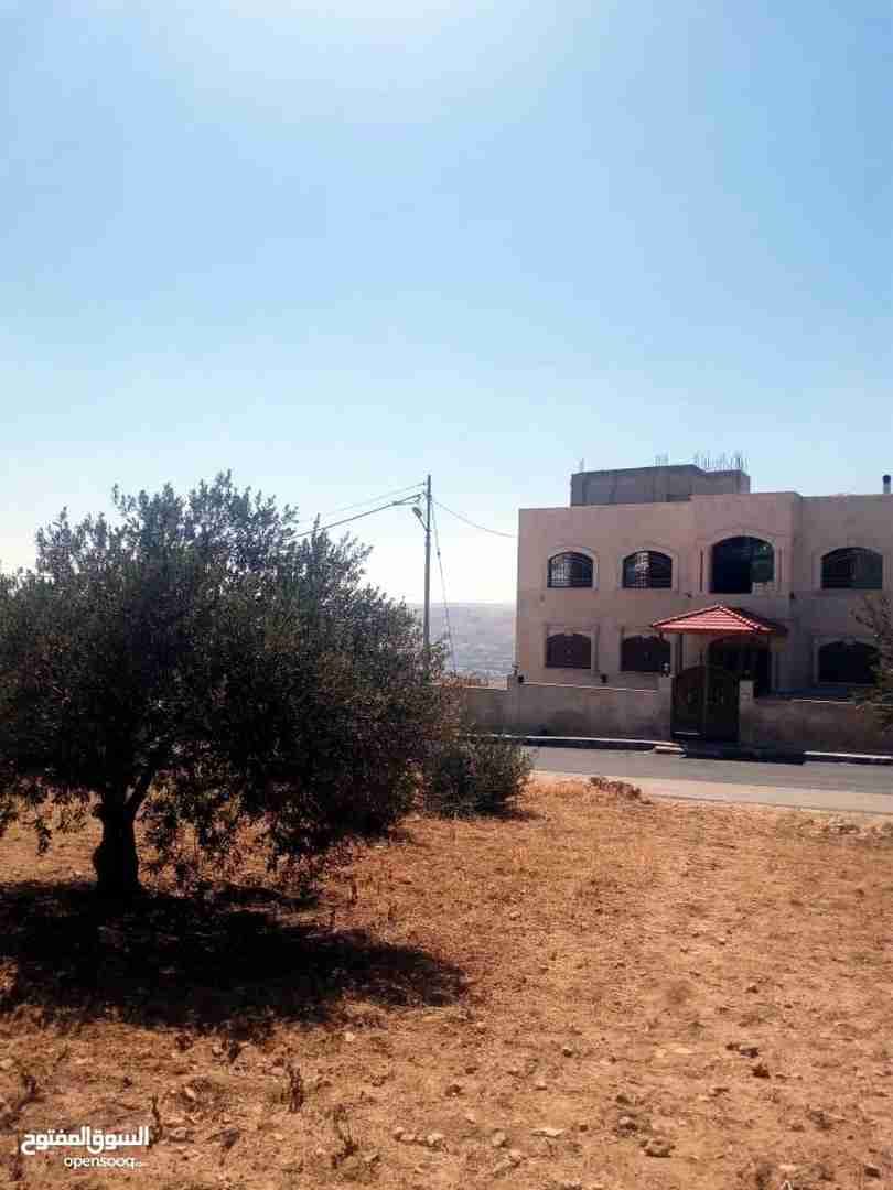 للبيع 850م ابو نصير ام بطمه قرب مستشفى الرشيد من المالك
لا تنسَ أنك شاهدت هذا الإعلان في عنكبوت...