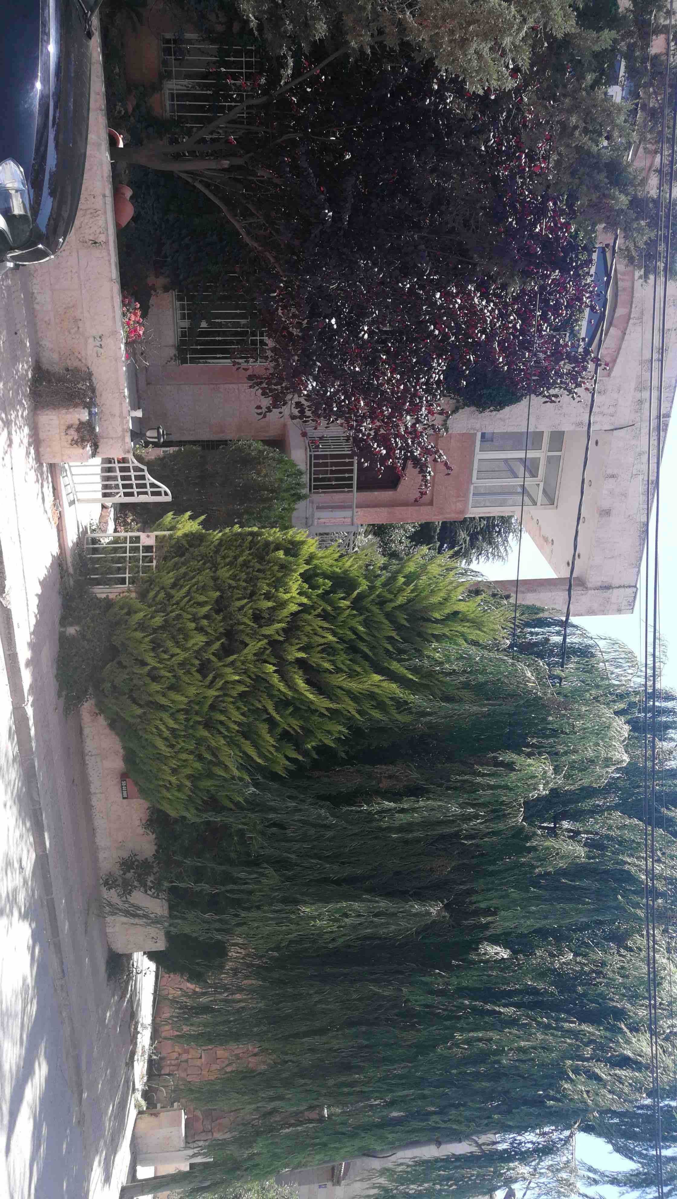 دابوق فيلا متلاصقه للبيع
لا تنسَ أنك شاهدت هذا الإعلان في عنكبوت
دابوق فيلا مكونه من3 طوابق طابق...