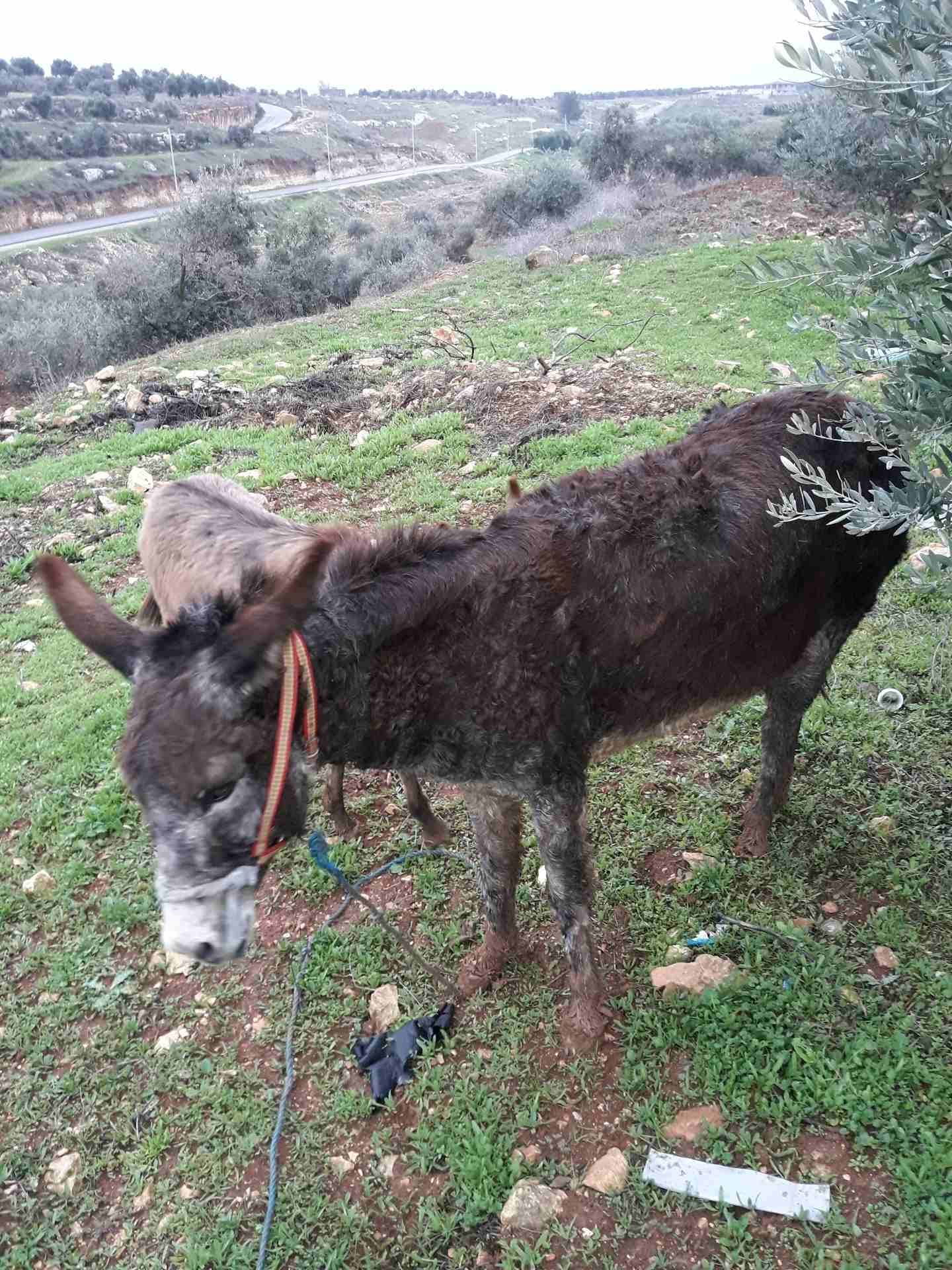 حمارة للبع الطصل العلى هذ الرم 0798927743
لا تنسَ أنك شاهدت هذا الإعلان في عنكبوت
حمارة للبع الطص...