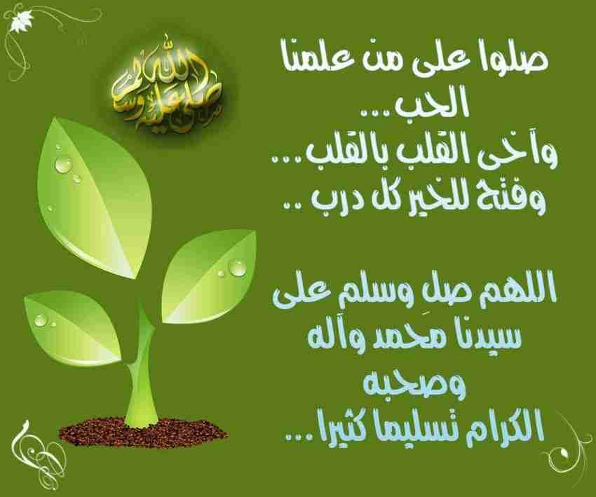 زيت زيتون
لا تنسَ أنك شاهدت هذا الإعلان في عنكبوت
عصر جديد بعل مكفول 100 %ما عجبك ر جع الزيت...