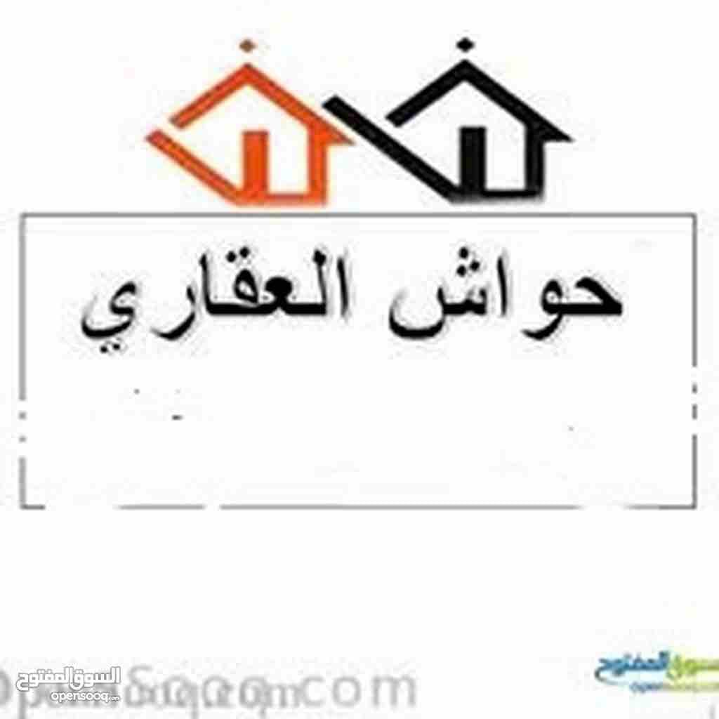 شقه فارغه للايجار المقابلين 3 نوم
لا تنسَ أنك شاهدت هذا الإعلان في عنكبوت
شقه فارغه للايجار
3ن...