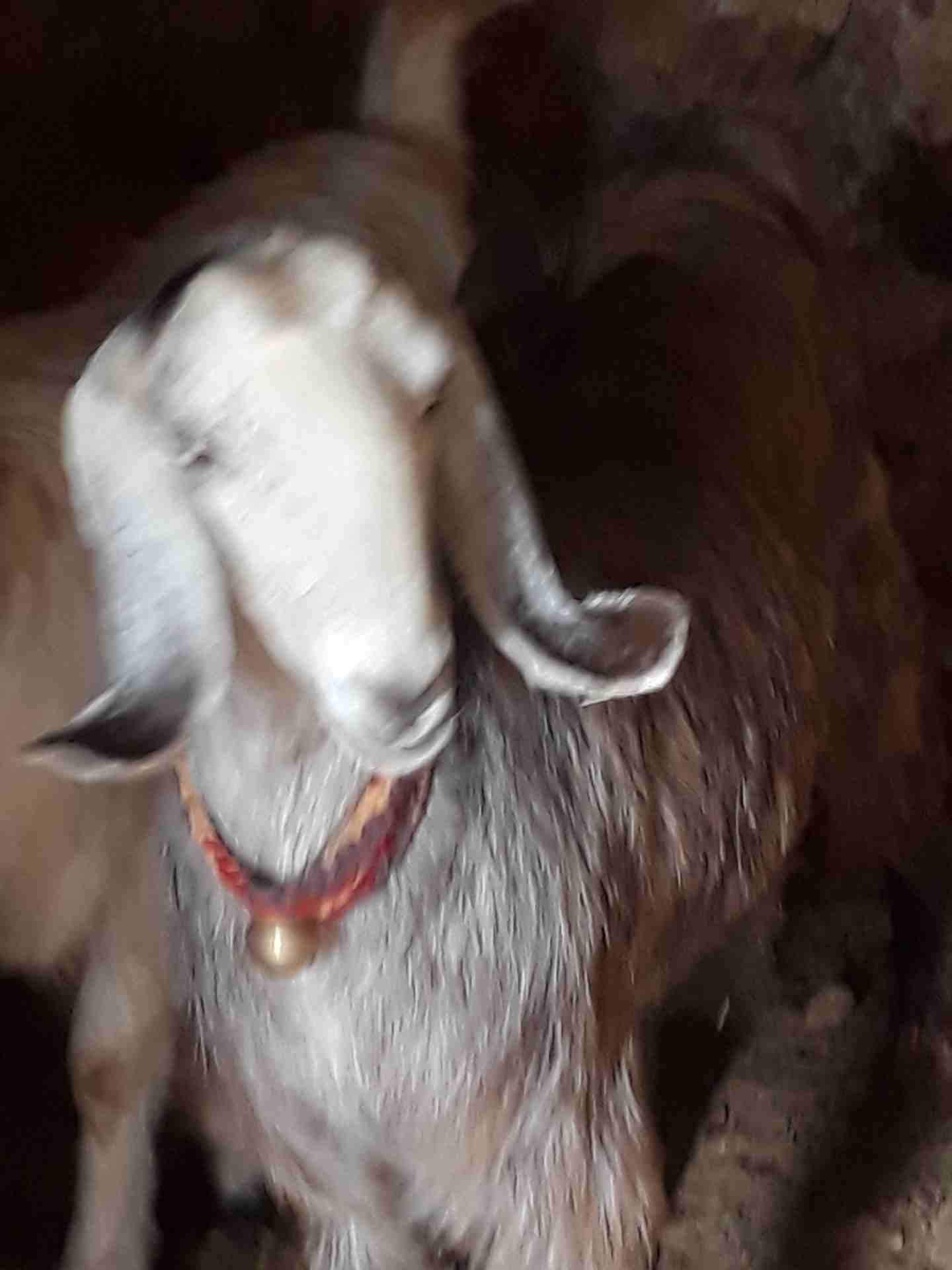 ثنيه كفاله حليب
لا تنسَ أنك شاهدت هذا الإعلان في عنكبوت
ثنيه كفاله حليب موجوده بالمفرق...