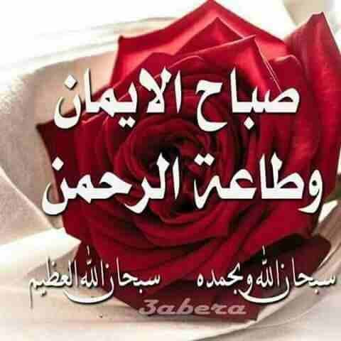 ابواب صيانه ودهان البواب الخشبي والمطابخ حيدر العراقي
لا تنسَ أنك شاهدت هذا الإعلان في عنكبوت
صيا...