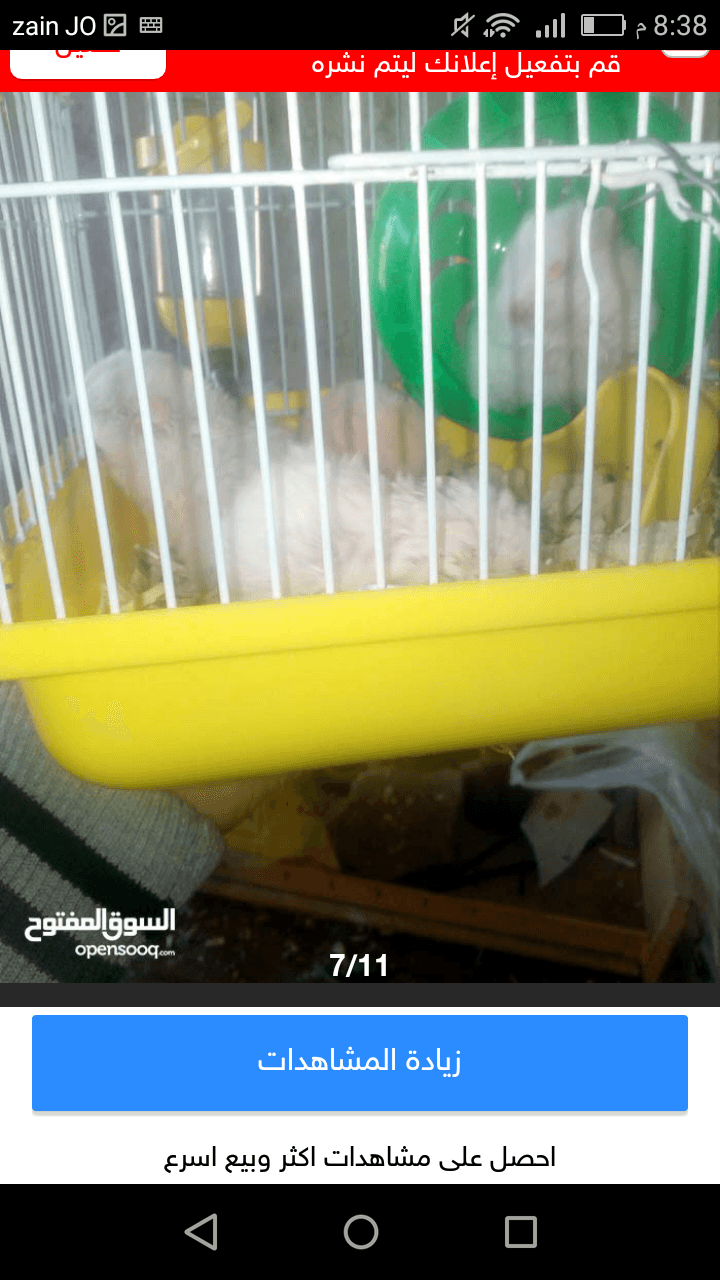 هامستر جوز6د يا بلاش روسي شعر طويل اليفات 16د مع اكل وقفص ونجارة ةتوصيل يا بلاش
لا تنسَ أنك شاهدت هذا الإعلان في عنكبوت...