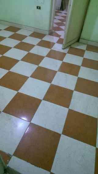 البليط السوري
لا تنسَ أنك شاهدت هذا الإعلان في عنكبوت
البليط ابو سند السوري 0775719101...