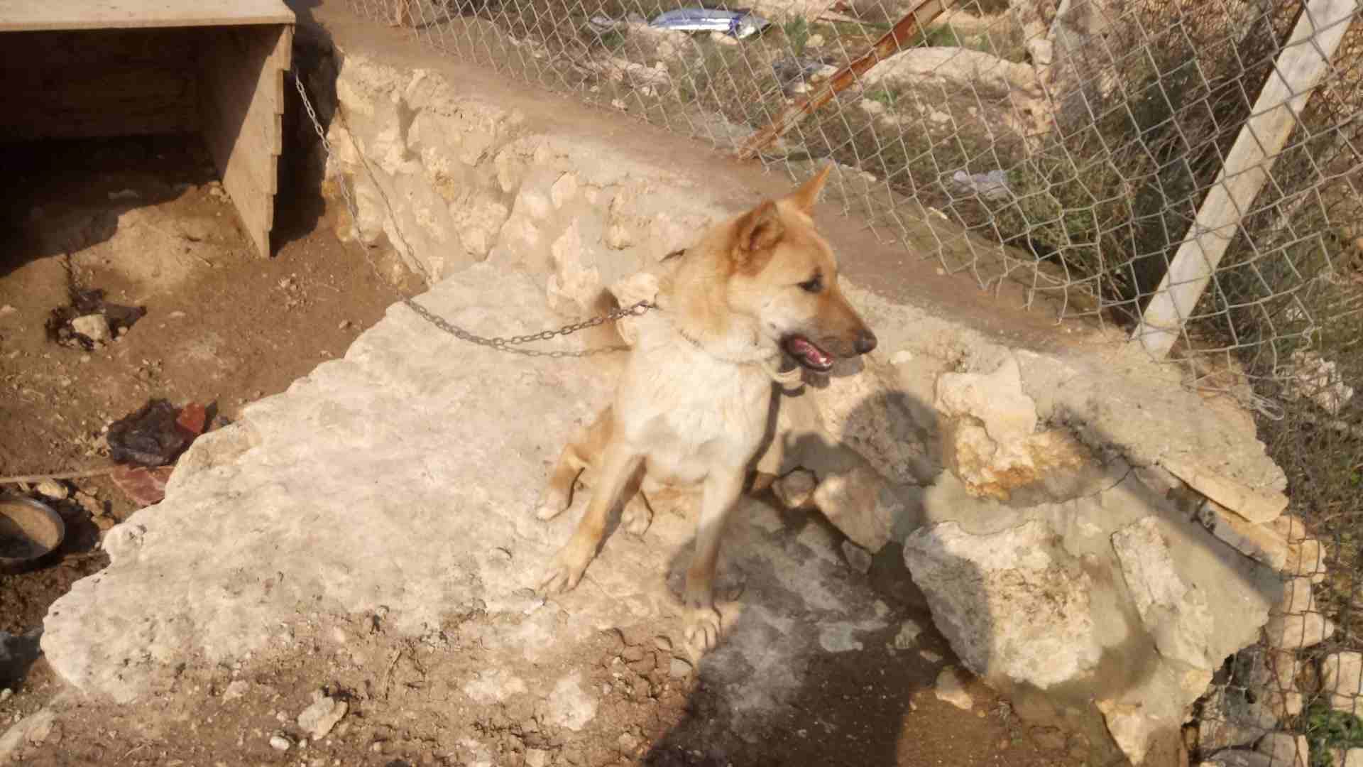 العلوك
لا تنسَ أنك شاهدت هذا الإعلان في عنكبوت
الزرقاء
رقم المعل...