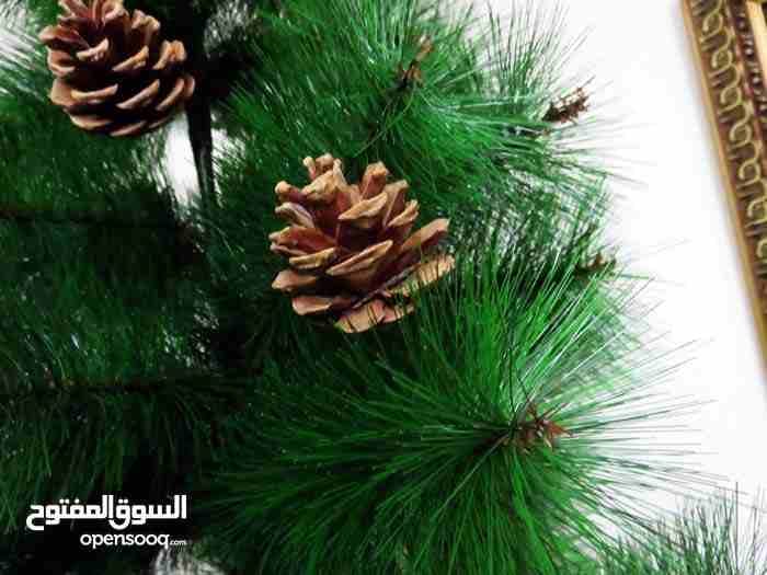 Amman –New Natural and Artificial Plants available for immediate sale
لا تنسَ أنك شاهدت هذا الإعلان في عنكبوت...