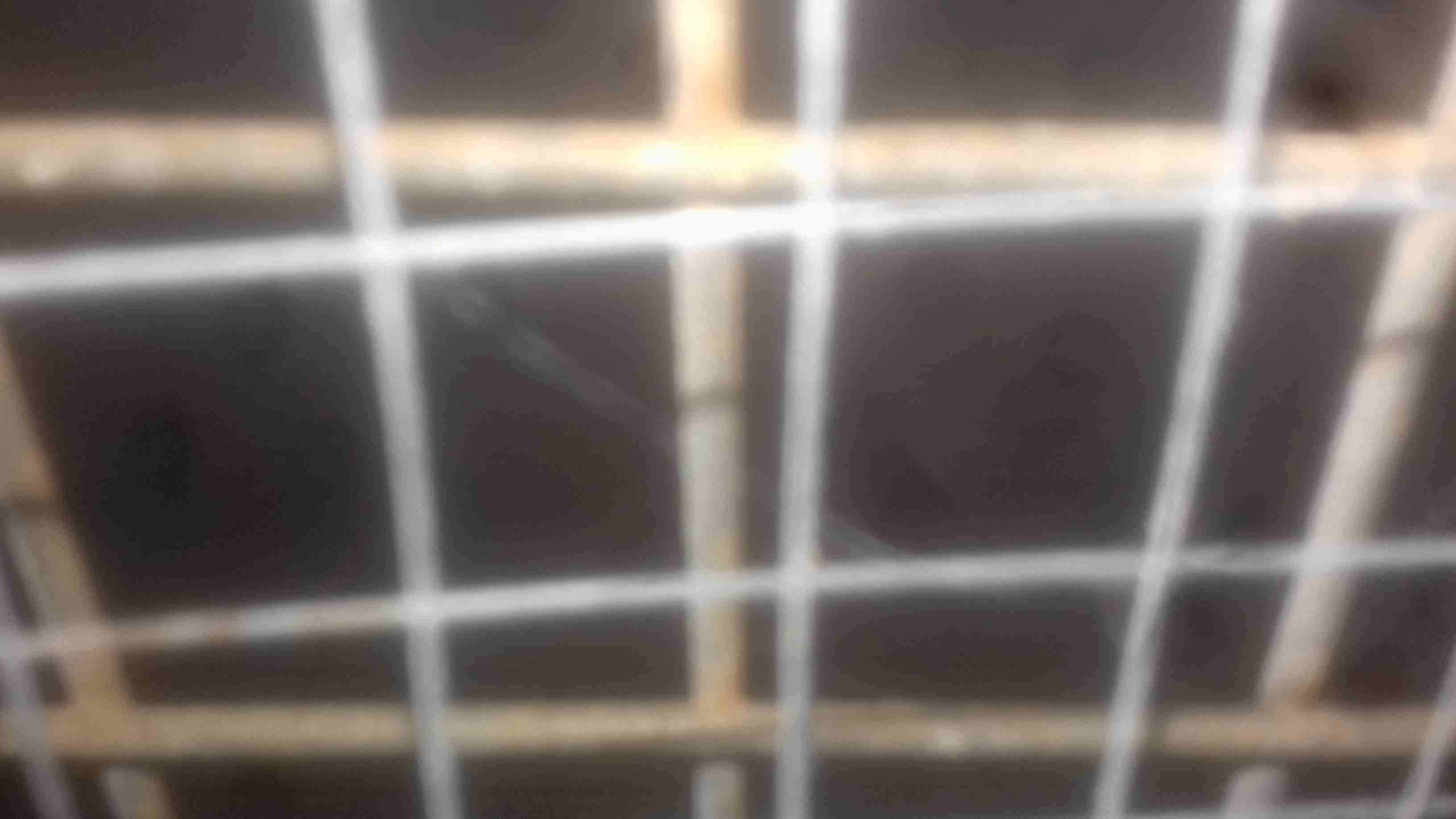قفص ارنب
لا تنسَ أنك شاهدت هذا الإعلان في عنكبوت
قفص ارنب
رقم ال...