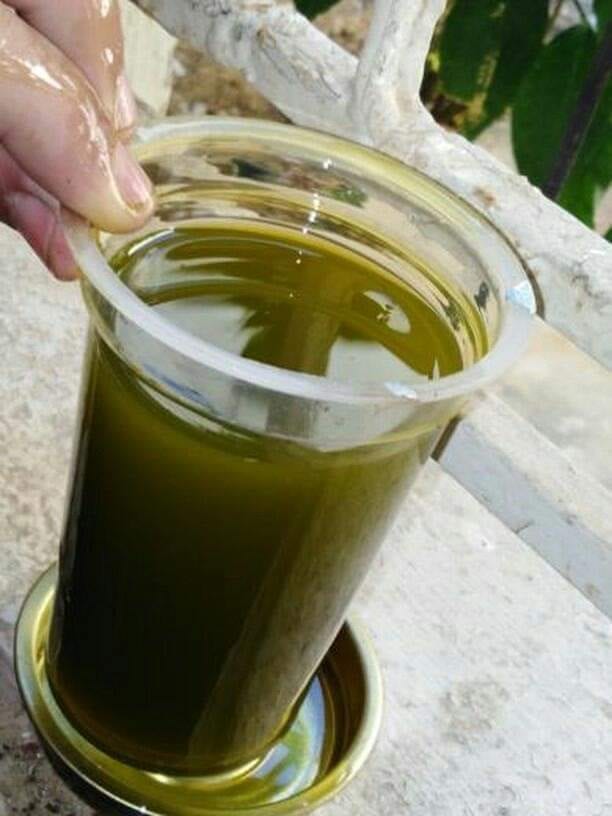 زيت زيتون بلدي بعل
لا تنسَ أنك شاهدت هذا الإعلان في عنكبوت
زيت زيتون بلدي بعل زيت السنه فحص ح...