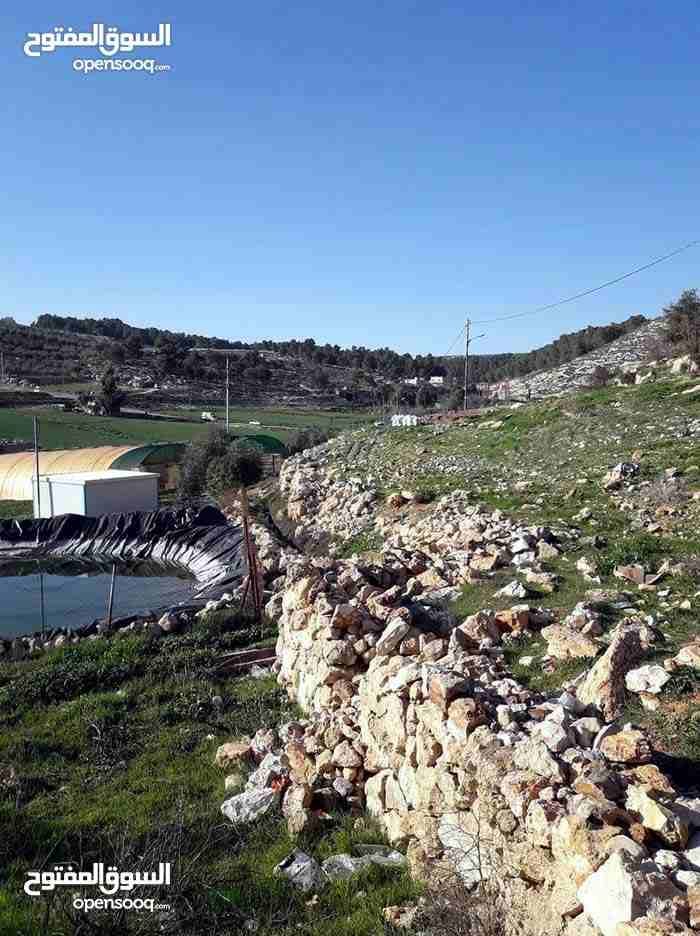 ارض للبيع ناعور وسيل حسبان قرب النبع
لا تنسَ أنك شاهدت هذا الإعلان في عنكبوت
ارض للبيع
اراضي نا...