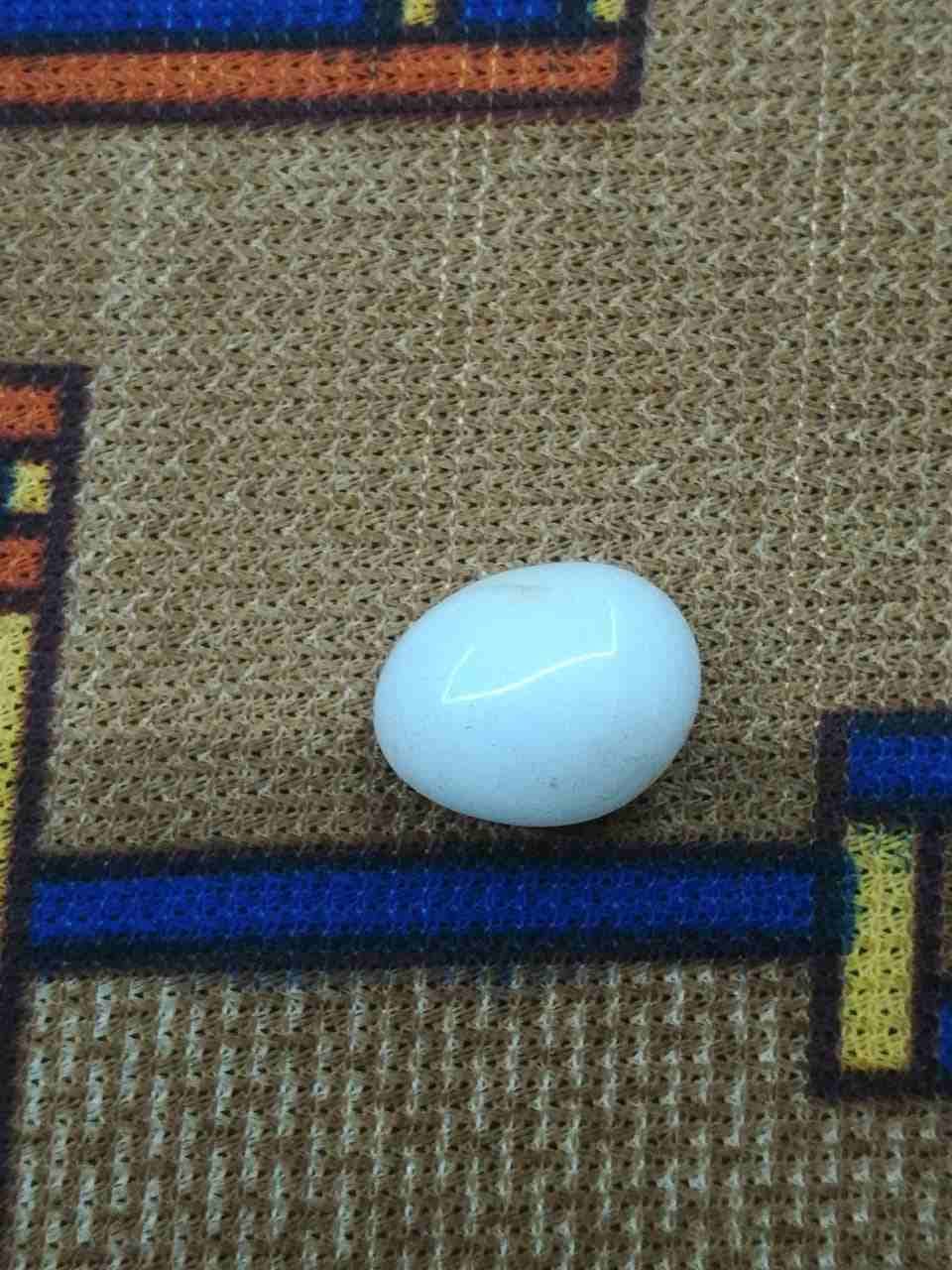 احجار كريمه اصليه
لا تنسَ أنك شاهدت هذا الإعلان في عنكبوت
خاتم عقيق رهيب قديم جدا جدا كان مخدوم...