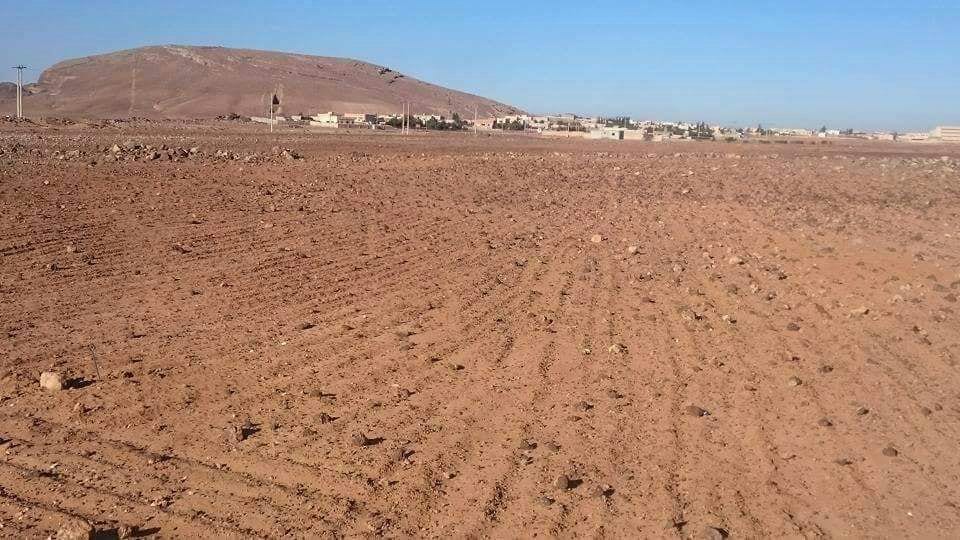 ارض للبيع المفرق البادية الشمالية تل الرماح زراعي31 دنم
لا تنسَ أنك شاهدت هذا الإعلان في عنكبوت...