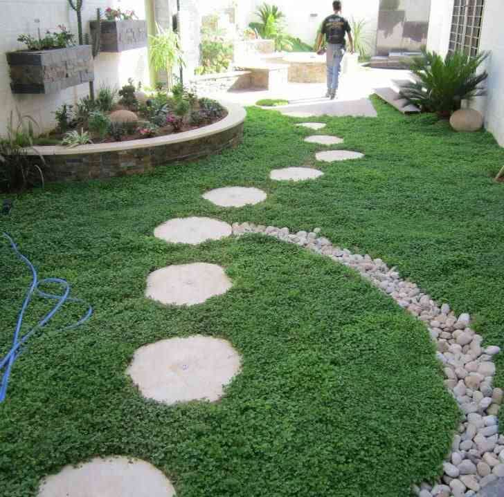 نتشرف بخدمتكم اينما كنتم - تصميم وتنفيذ الحدائق بأعلى درجات الاحترافيه
لا تنسَ أنك شاهدت هذا الإعلان في عنكبوت...