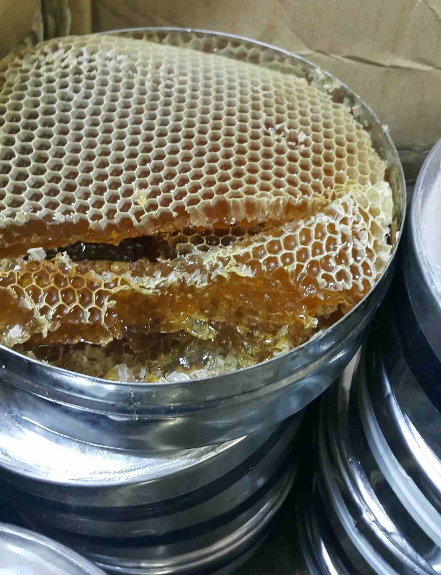 عسل يمني حضرمي صافي و خلطات علاجية
لا تنسَ أنك شاهدت هذا الإعلان في عنكبوت
متوفر العسل اليمني من...