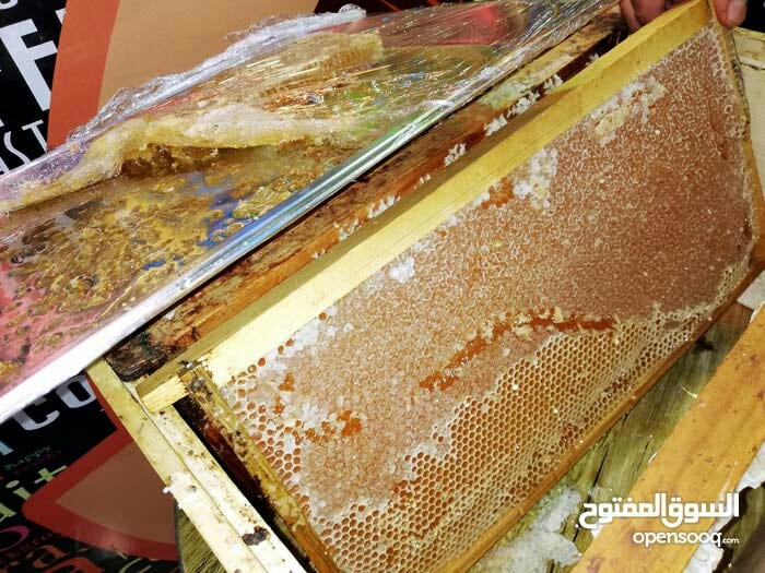 جميع منتجات النحل متوفره جبلي شوكي / ربيعي /عسل بالقطاعات الشمعيه
لا تنسَ أنك شاهدت هذا الإعلان في عنكبوت...
