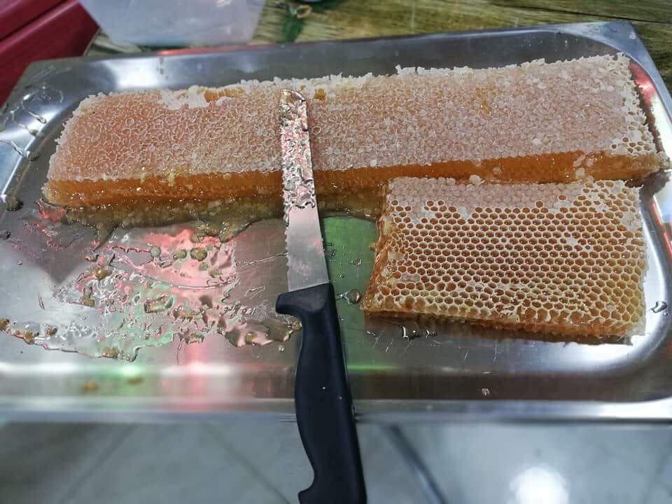 العسل البلدي
لا تنسَ أنك شاهدت هذا الإعلان في عنكبوت
جميع منتجات النحل من مناحل سوار العسل لم...