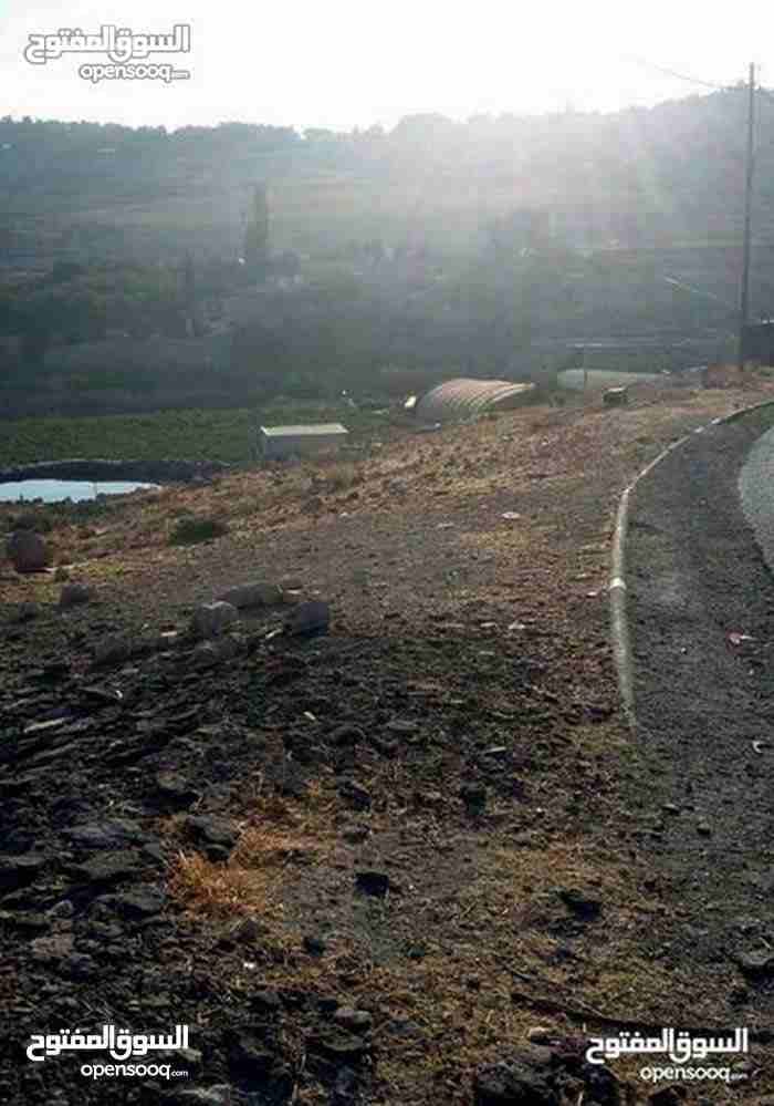 ارض للبيع ناعور وسيل حسبان قرب النبع
لا تنسَ أنك شاهدت هذا الإعلان في عنكبوت
ارض للبيع
اراضي نا...