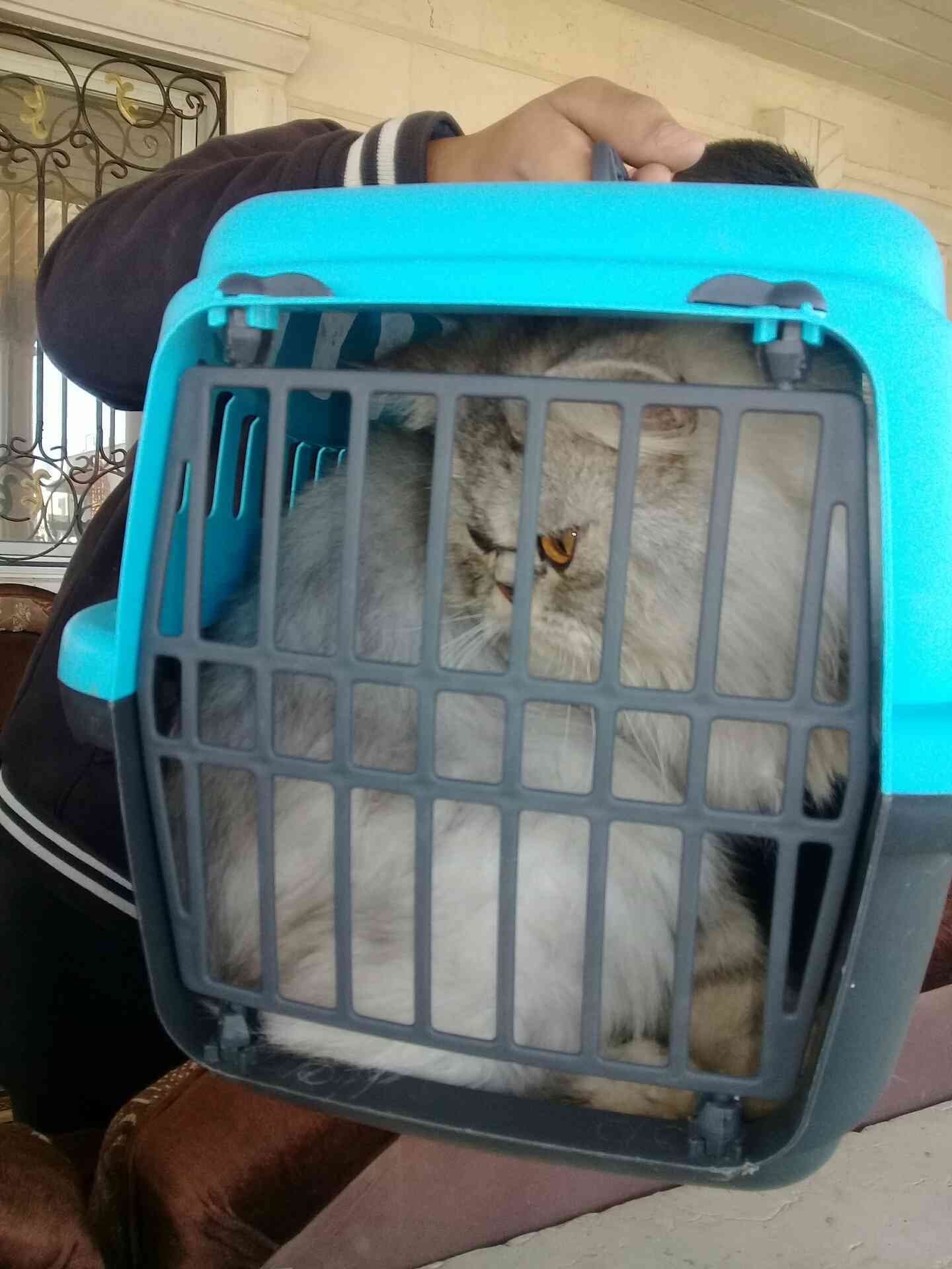 شارع البتره
لا تنسَ أنك شاهدت هذا الإعلان في عنكبوت
مقابل مخازن الش...