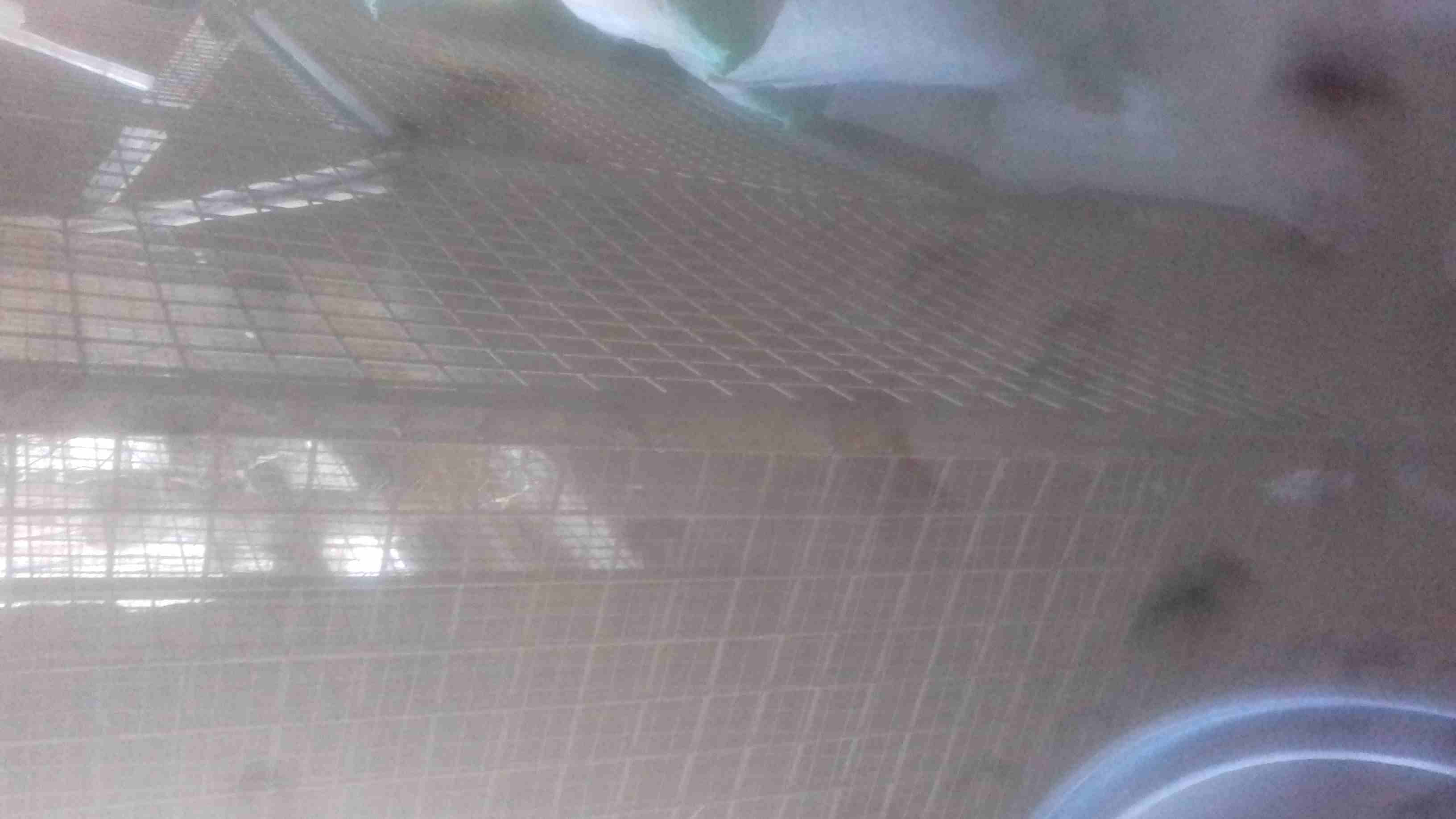 قفص ارنب
لا تنسَ أنك شاهدت هذا الإعلان في عنكبوت
قفص ارنب
رقم ال...