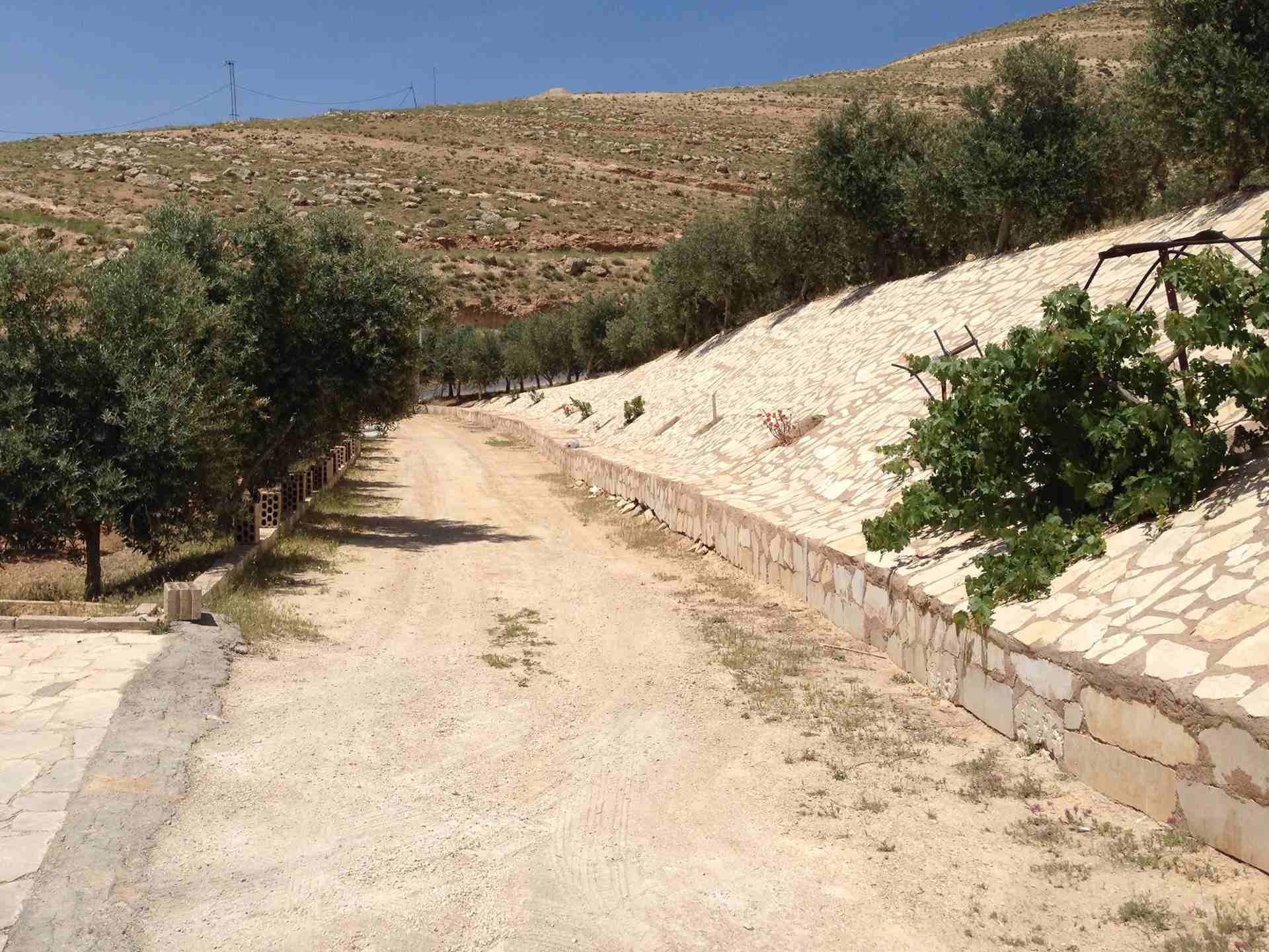 مزرعة للبيع على شارع الاردن
لا تنسَ أنك شاهدت هذا الإعلان في عنكبوت
مزرعة للبيع تقع على شارع الار...