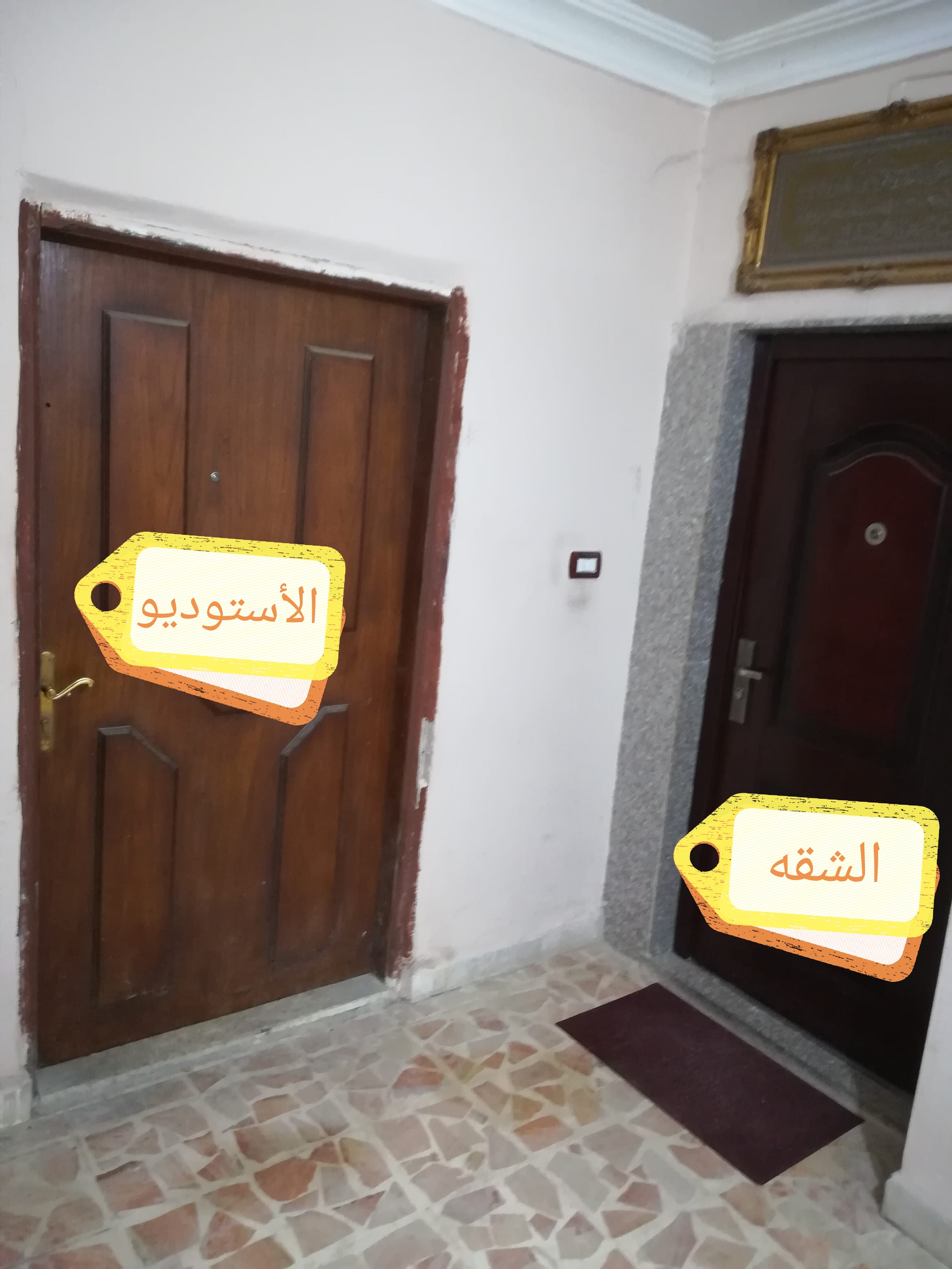 استوديو مفروش للايجار ماركا الشمالية
لا تنسَ أنك شاهدت هذا الإعلان في عنكبوت
استوديو مفروش لل...