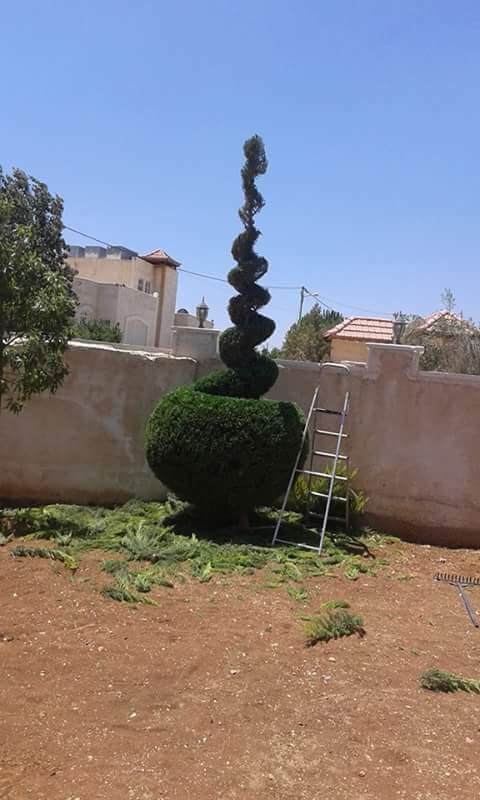 تنسيق حدائق
لا تنسَ أنك شاهدت هذا الإعلان في عنكبوت
تنسيق حدائق 0788445103
رقم الم...
