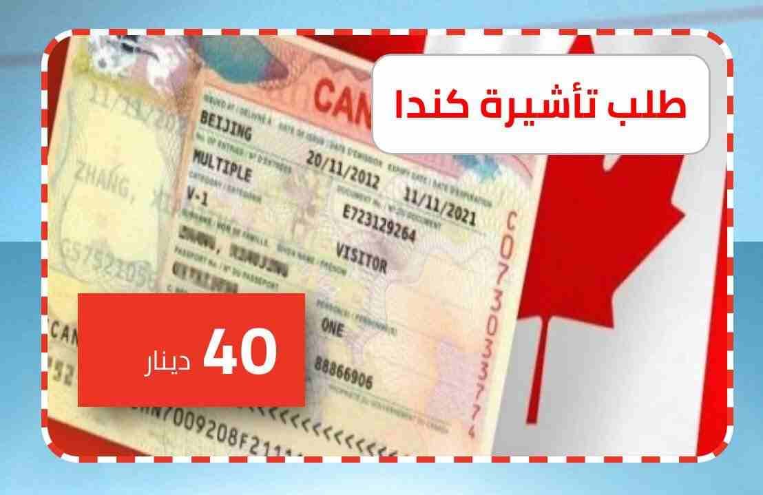 فيزا أمريكا وكندا وأستراليا وشنغن وجميع الدول
لا تنسَ أنك شاهدت هذا الإعلان في عنكبوت
Nonimmigran...