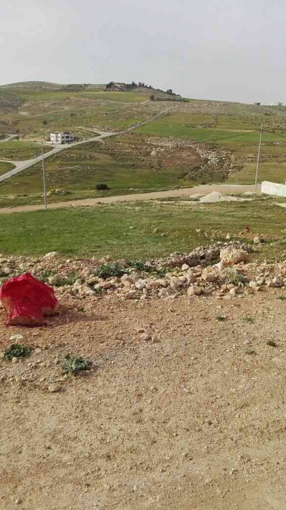 شروة العمر.. ارض شفابدران المقرن2
لا تنسَ أنك شاهدت هذا الإعلان في عنكبوت
شروة العمر...........