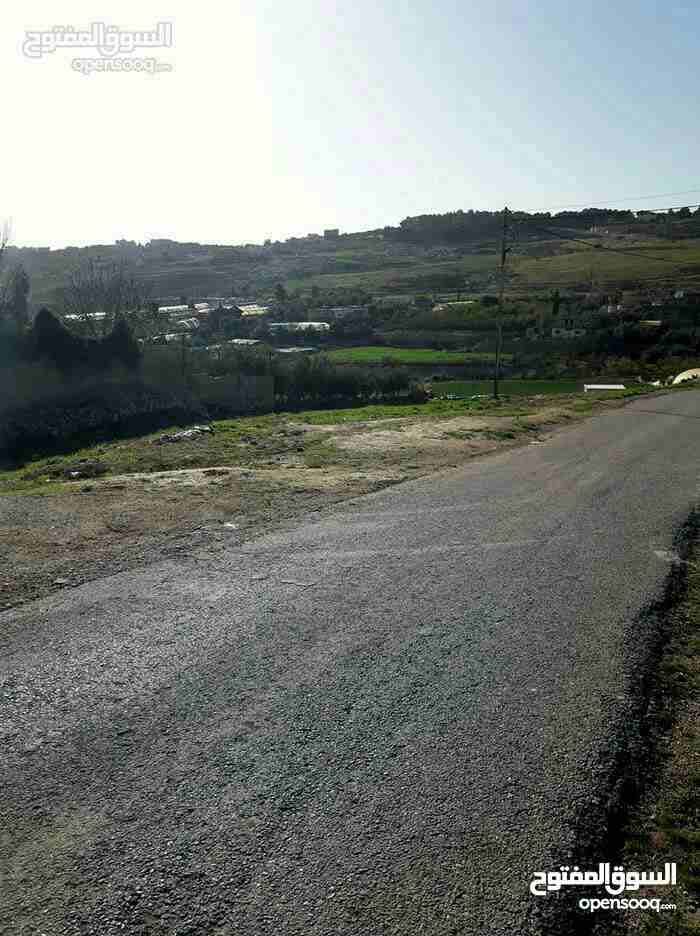 ارض للبيع ناعور وسيل حسبان قرب النبع
لا تنسَ أنك شاهدت هذا الإعلان في عنكبوت
ارض للبيع
اراضي نا...