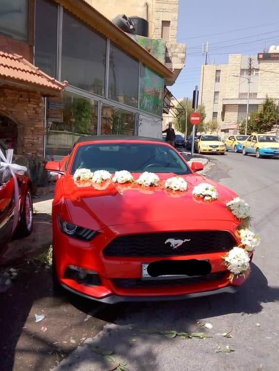 اجمل و اجدد سيارت الكشف للاعراس فقط بإقل الاسعار شامل الزينه
لا تنسَ أنك شاهدت هذا الإعلان في عنكبوت...