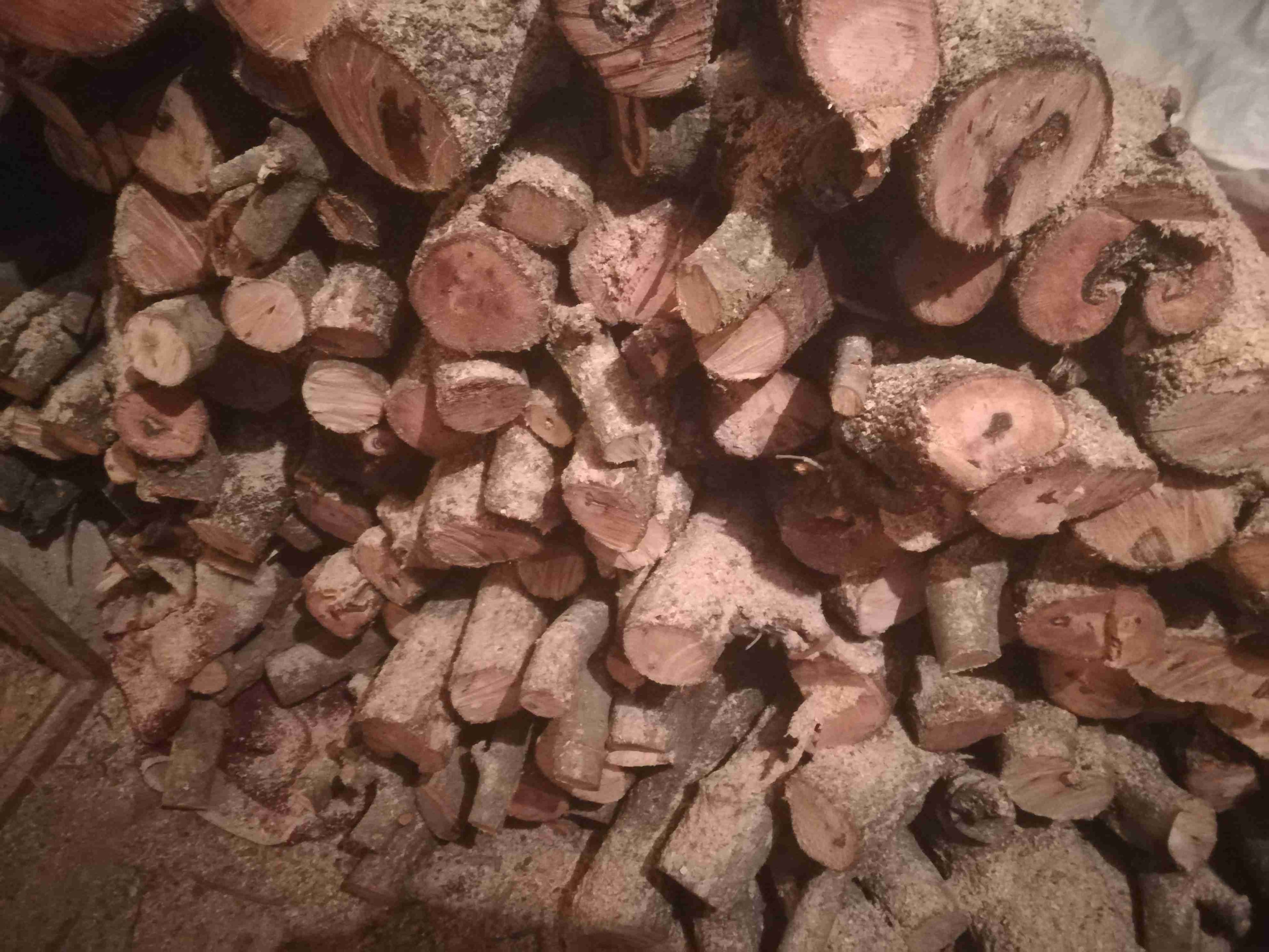 حطب بلوط اصلي بسعر مغري
لا تنسَ أنك شاهدت هذا الإعلان في عنكبوت
حـْطب بلوط عجلوني اصلي للبيع...