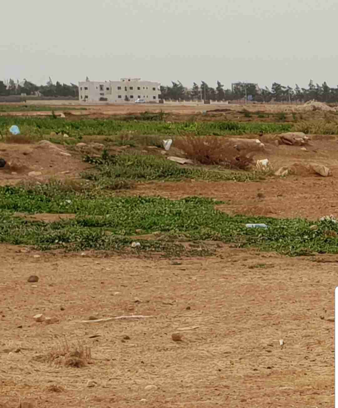 أرض سكنية استثمارية في مادبا نصف دونم للبيع داخل التنظيم قوشان مستقل
لا تنسَ أنك شاهدت هذا الإعلان في عنكبوت...
