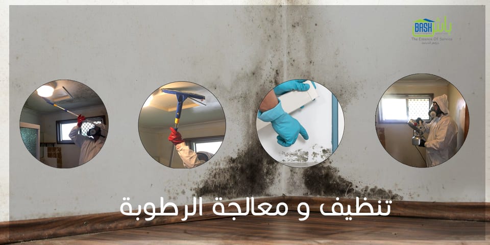 تنظيف سجاد وموكيت - شركة باش لإدارة المرافق
لا تنسَ أنك شاهدت هذا الإعلان في عنكبوت
تنظيف الس...