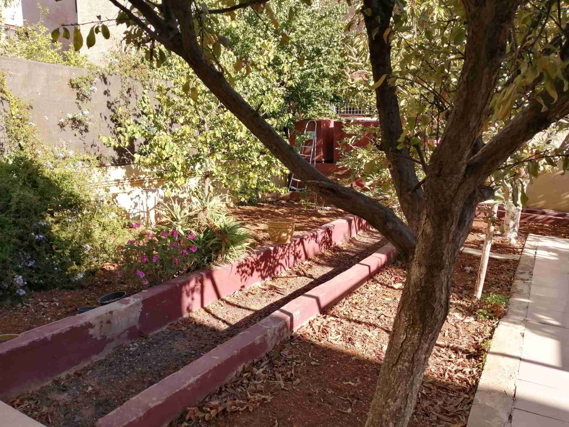 عماره للبيع للسكن او الاستثمار وتكمله إسكان كاش وتقسيط
لا تنسَ أنك شاهدت هذا الإعلان في عنكبوت...