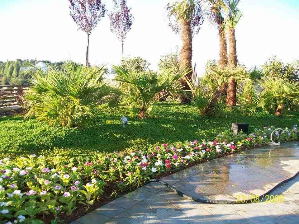 تنسيق وتصميم حدائق
لا تنسَ أنك شاهدت هذا الإعلان في عنكبوت
مؤسسة يامن فلور الزراعية لتنسيق ال...