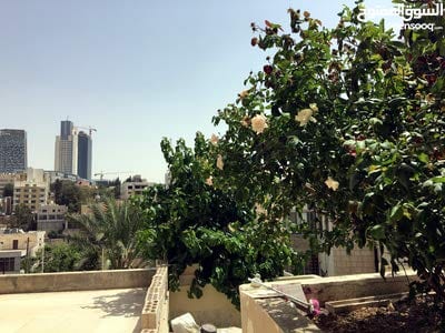 شقة أرضية مع حديقة 200م جبل عمان قرب السفارة الاسبانية
لا تنسَ أنك شاهدت هذا الإعلان في عنكبوت...