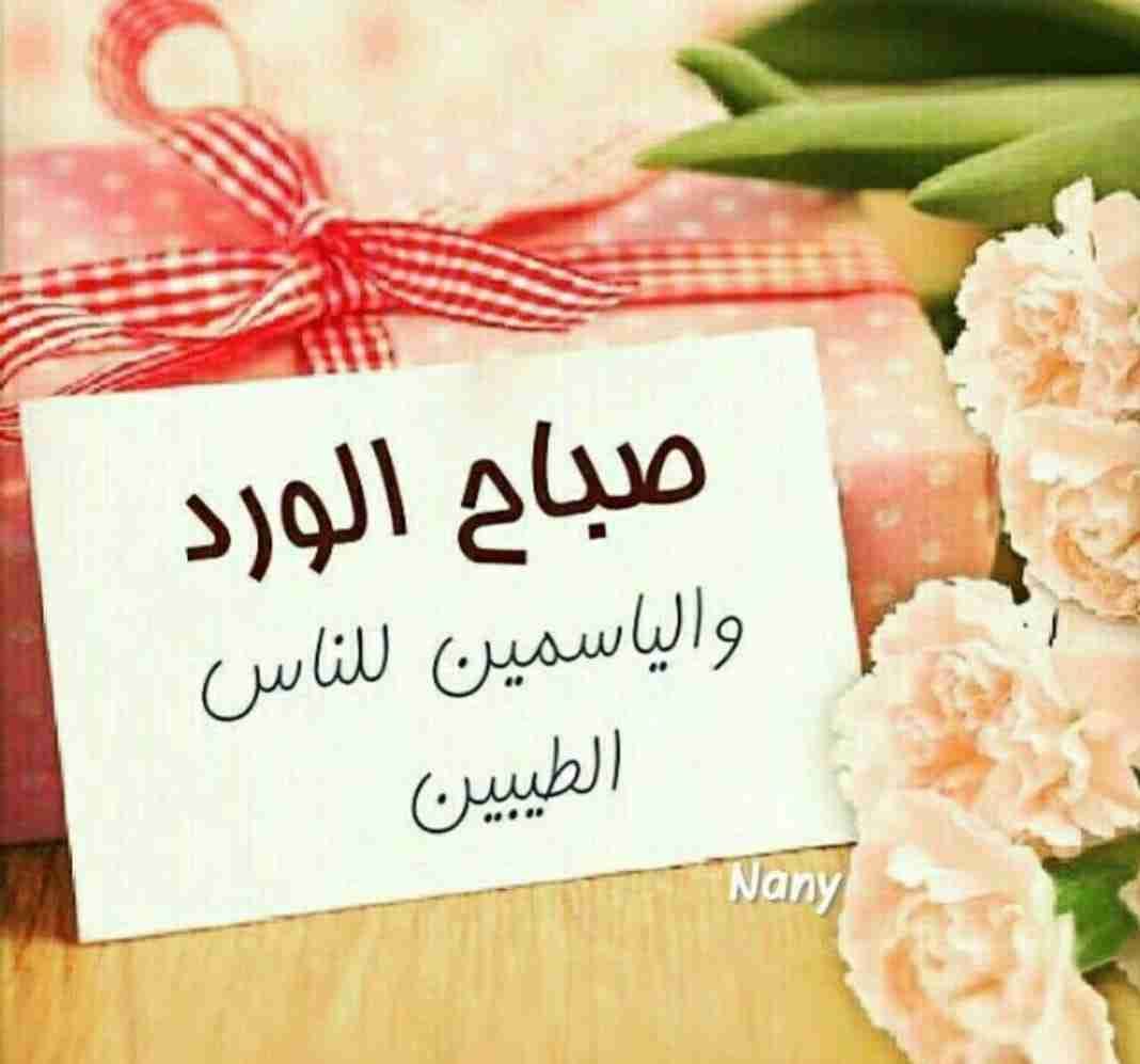 مخيم الازرق
لا تنسَ أنك شاهدت هذا الإعلان في عنكبوت
بدي كرسي حلاقة مستعمل...