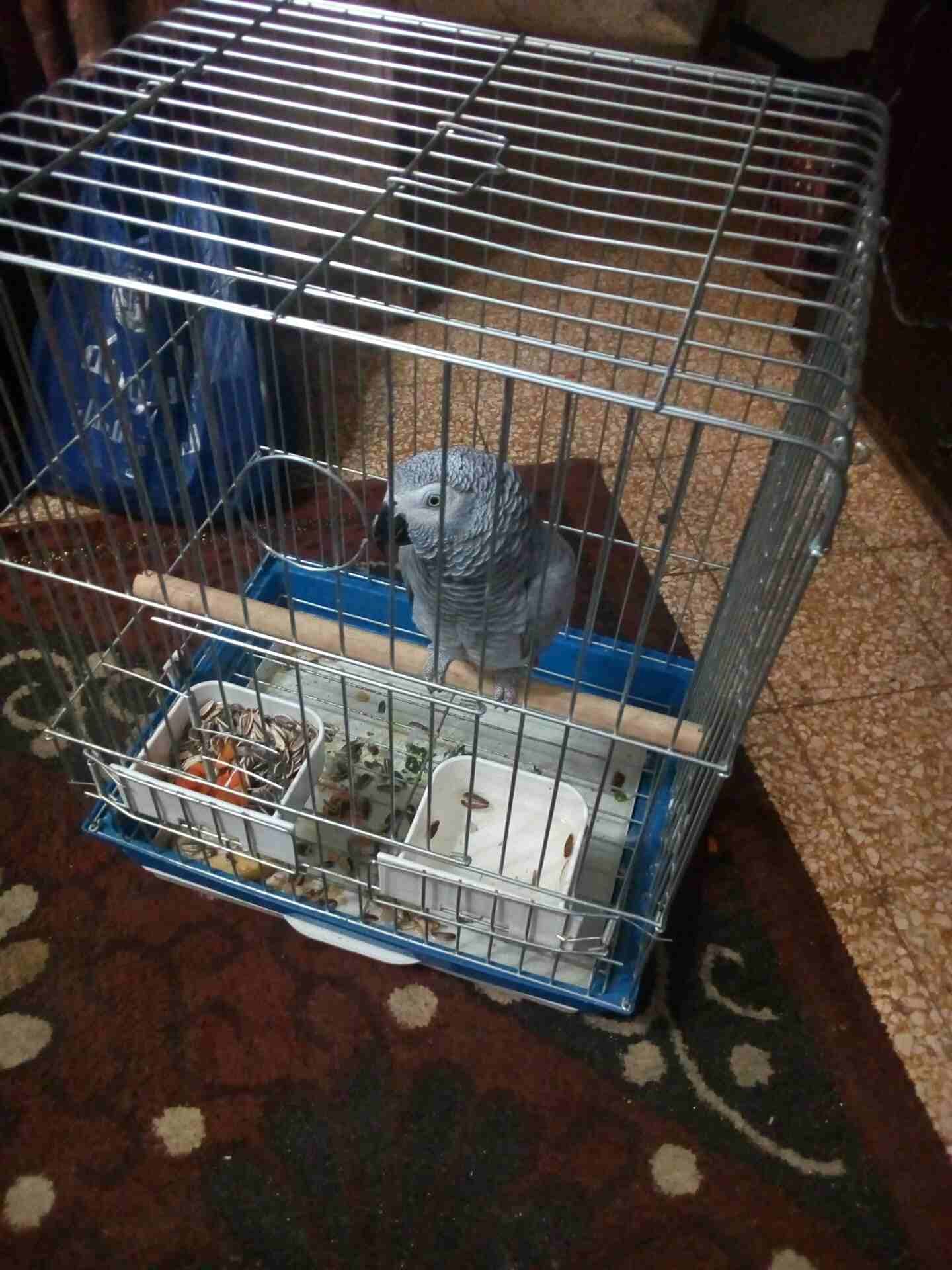 0792324994
لا تنسَ أنك شاهدت هذا الإعلان في عنكبوت
0792324994
رقم المعلن :0792324994
لمشاهدة المزيد من الإعل...