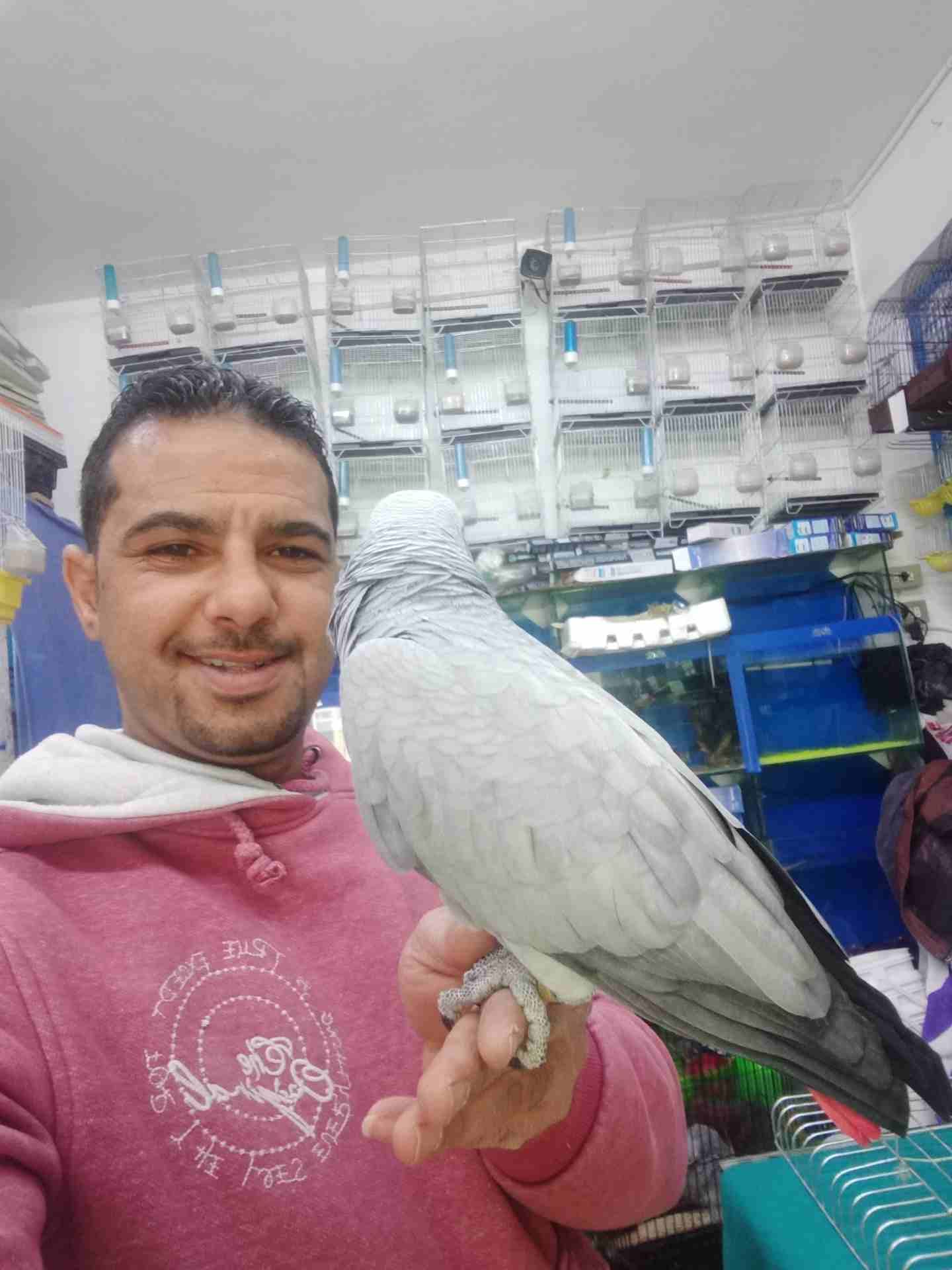 الى عشاق التميز والنوادر #كاسكو_مزرعه ثوب مش ثلجي ثوب #ابيض_سك متكلم م
لا تنسَ أنك شاهدت هذا الإعلان في عنكبوت...