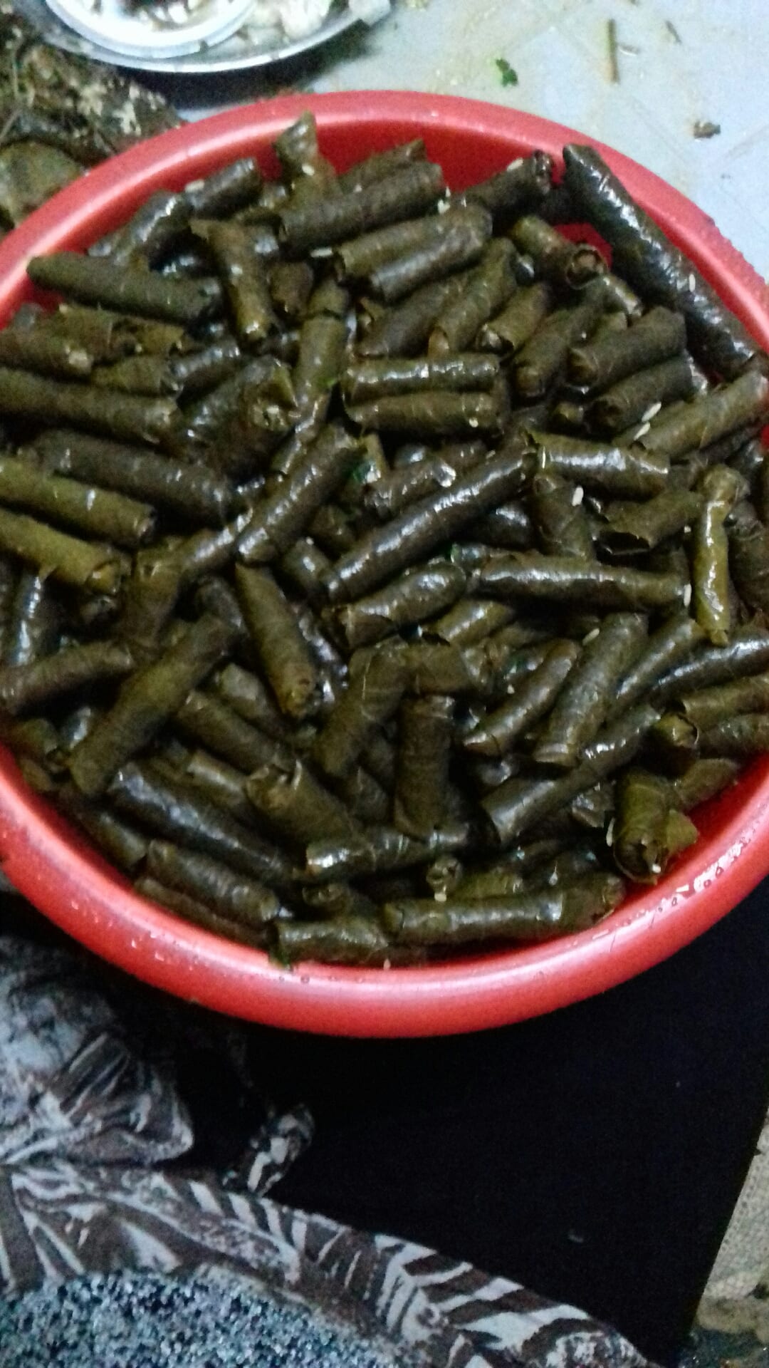 صويلح الدوريات الخارجيه
لا تنسَ أنك شاهدت هذا الإعلان في عنكبوت
طبيخ بيتي وبافضل الاسعار صوي...
