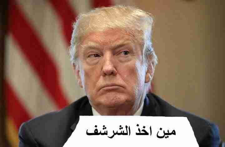 هامستر روسي اليفات جوز 16د مع اكل وقفص ونجارة وتوصيل يا بلاش شعر طويل
لا تنسَ أنك شاهدت هذا الإعلان في عنكبوت...