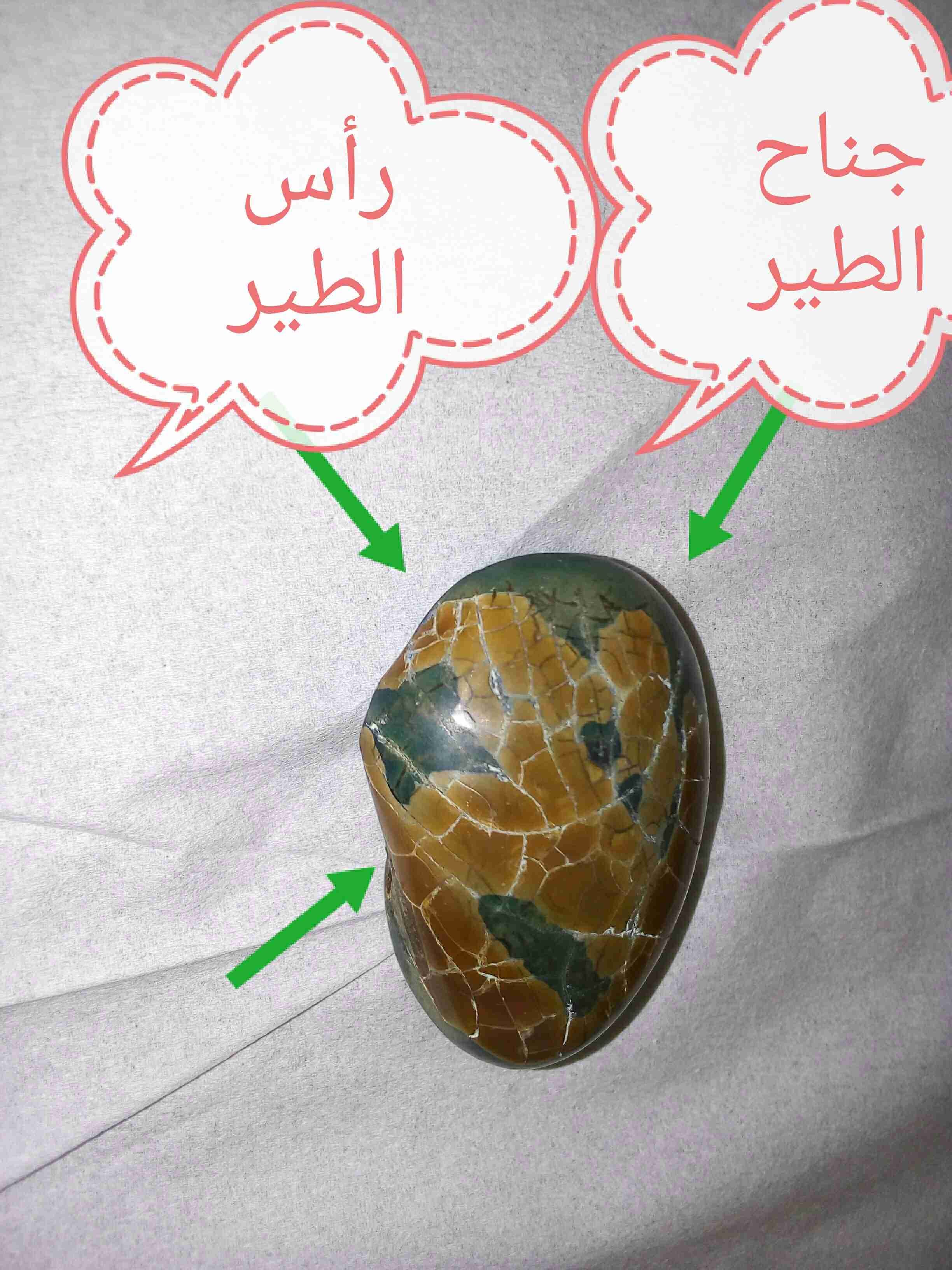 تراثيات ونواعم قيمه
لا تنسَ أنك شاهدت هذا الإعلان في عنكبوت
مجموعه من التراثيات المميزه من ال...