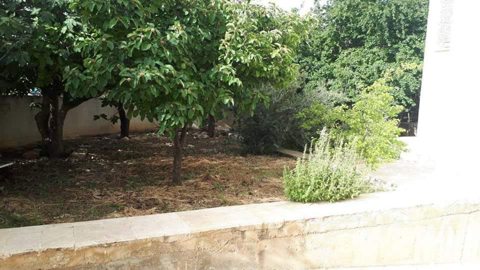 عمااره 1320م في خلدا خلف الستي موول على شارعين للبيع بدااااعي الهجره
لا تنسَ أنك شاهدت هذا الإعلان في عنكبوت...