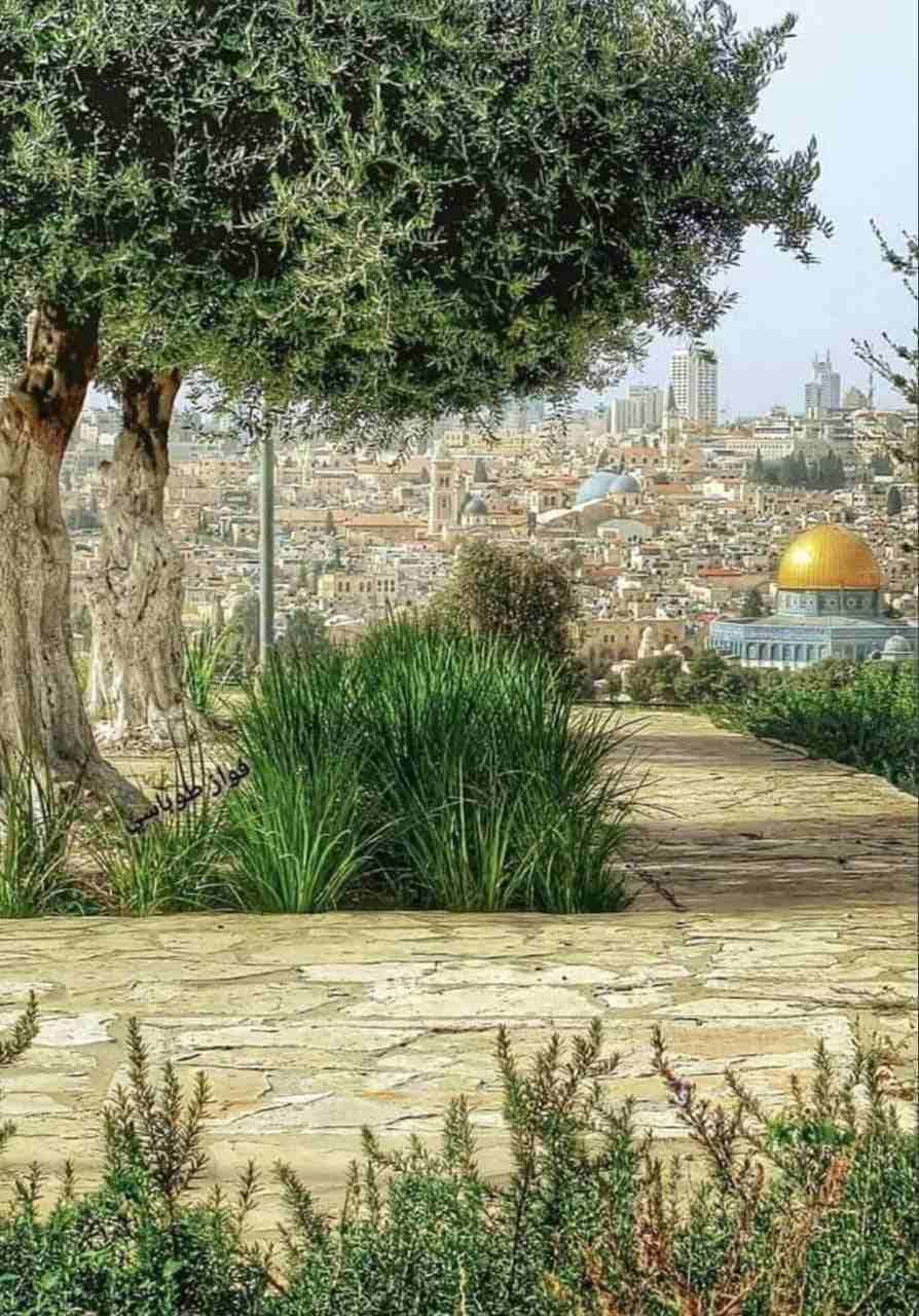 شراء سيارات شطب
لا تنسَ أنك شاهدت هذا الإعلان في عنكبوت
ابوعبدالله المحسيري لشتري جميع انواع السي...