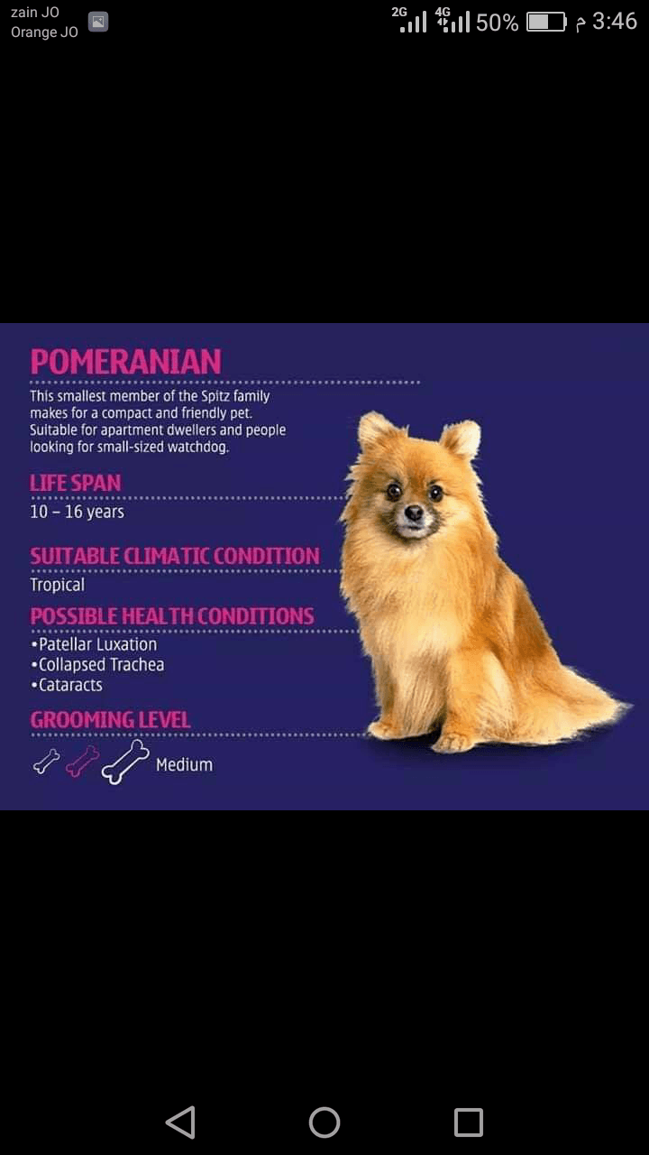 طبيب بيطري مختص
لا تنسَ أنك شاهدت هذا الإعلان في عنكبوت
مريان لخدمة القطط والكلاب طبيب بيطري مميز...